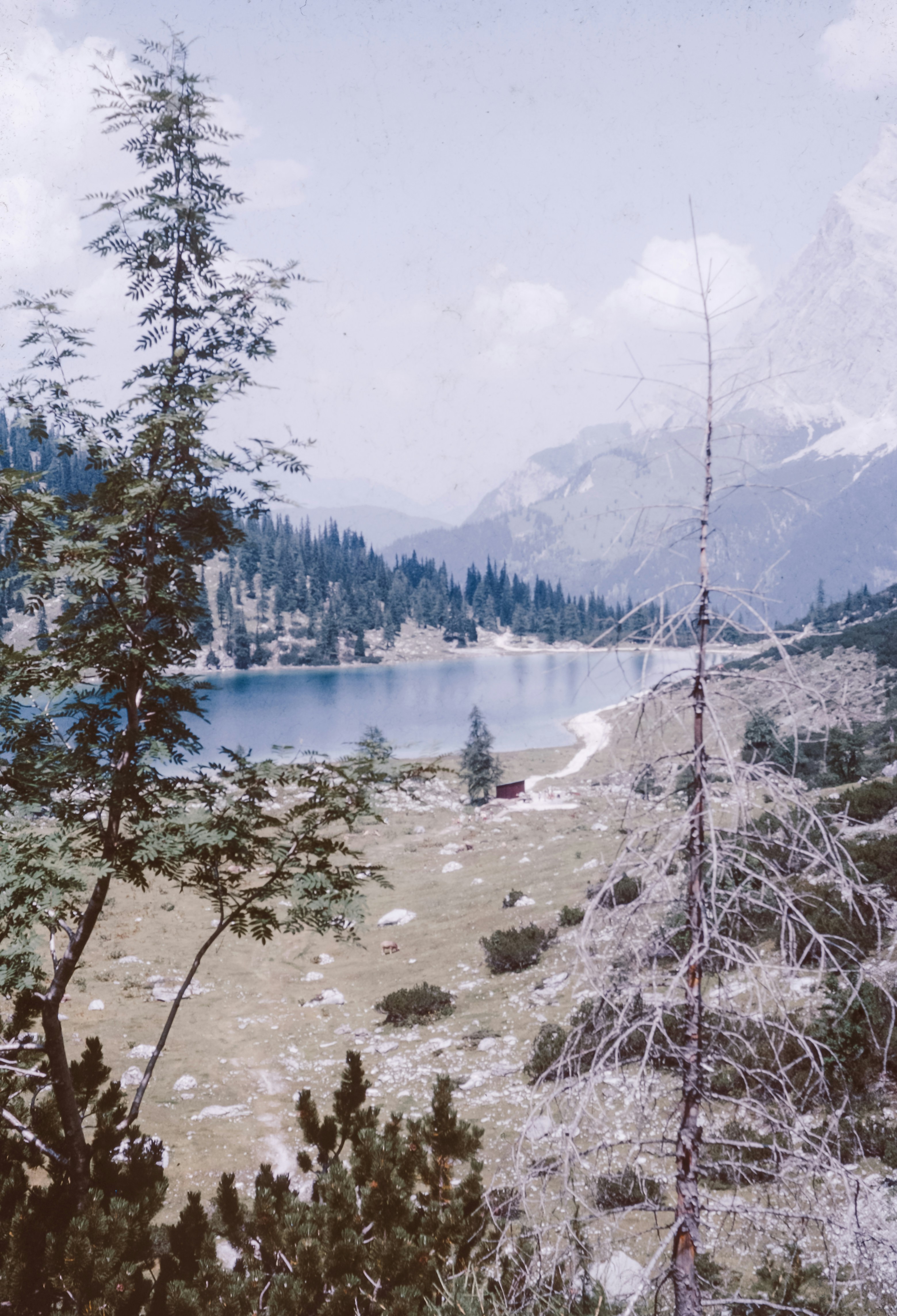 Photo by anniespratt