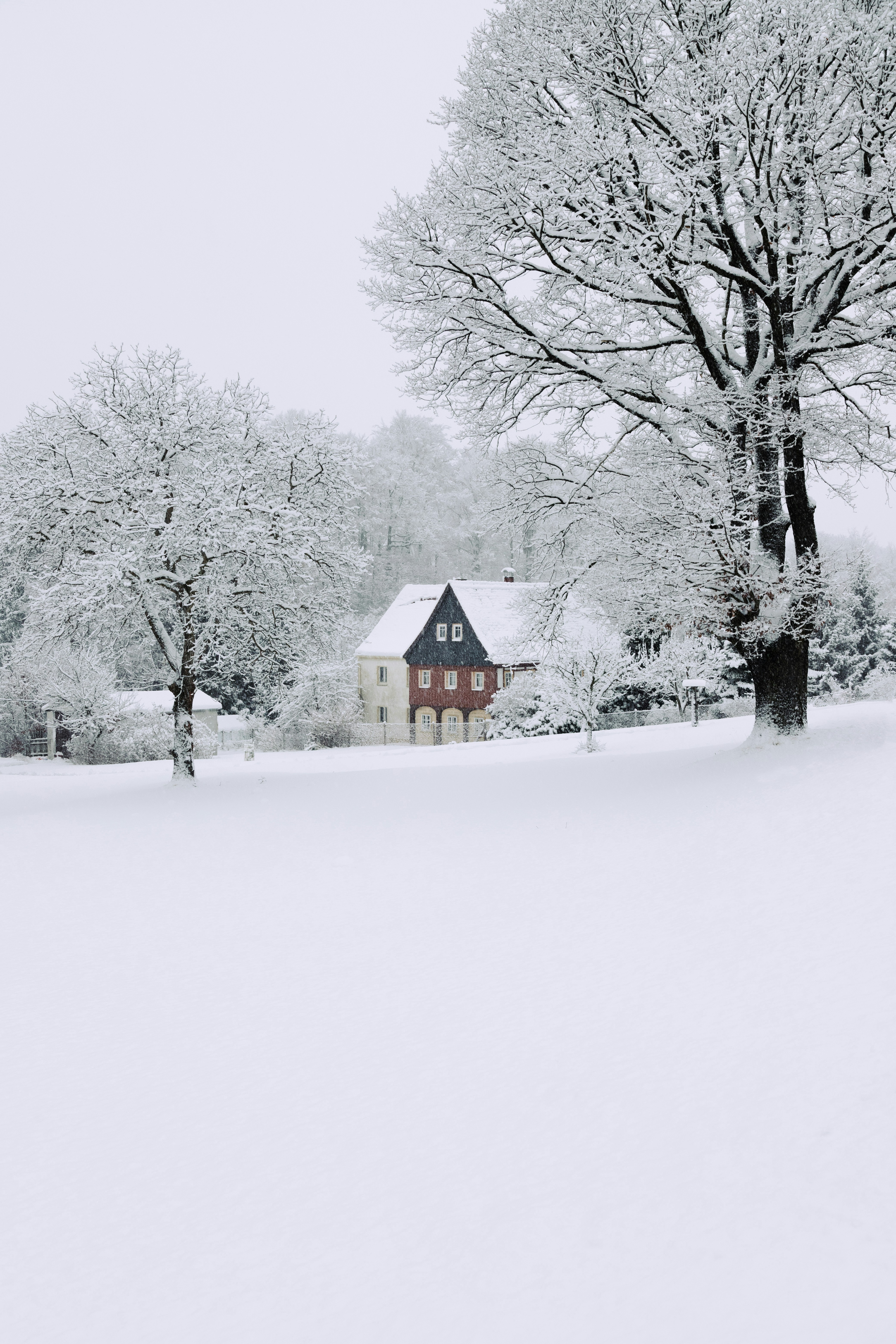 Photo by nikita_pishchugin