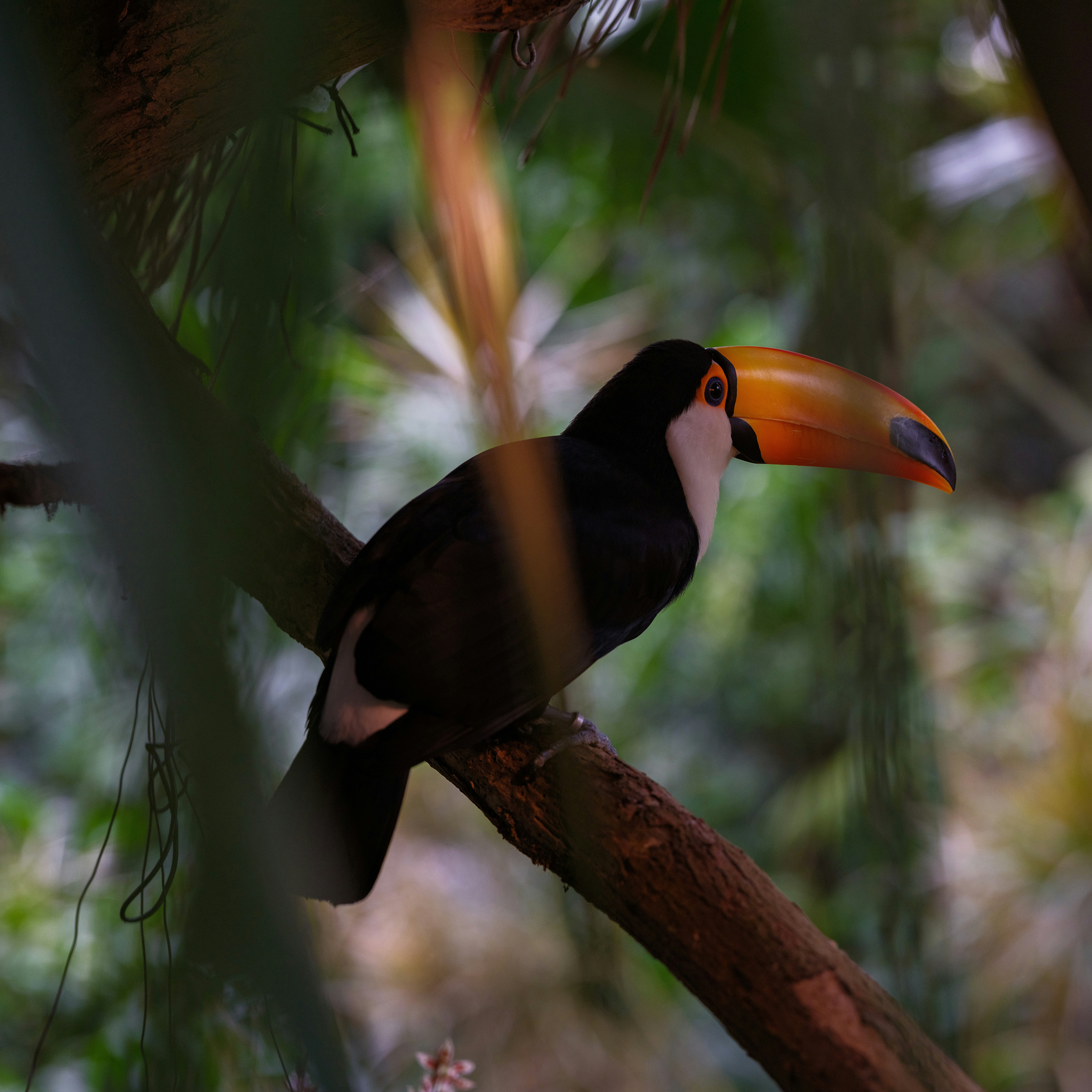 Photo by haberdoedas