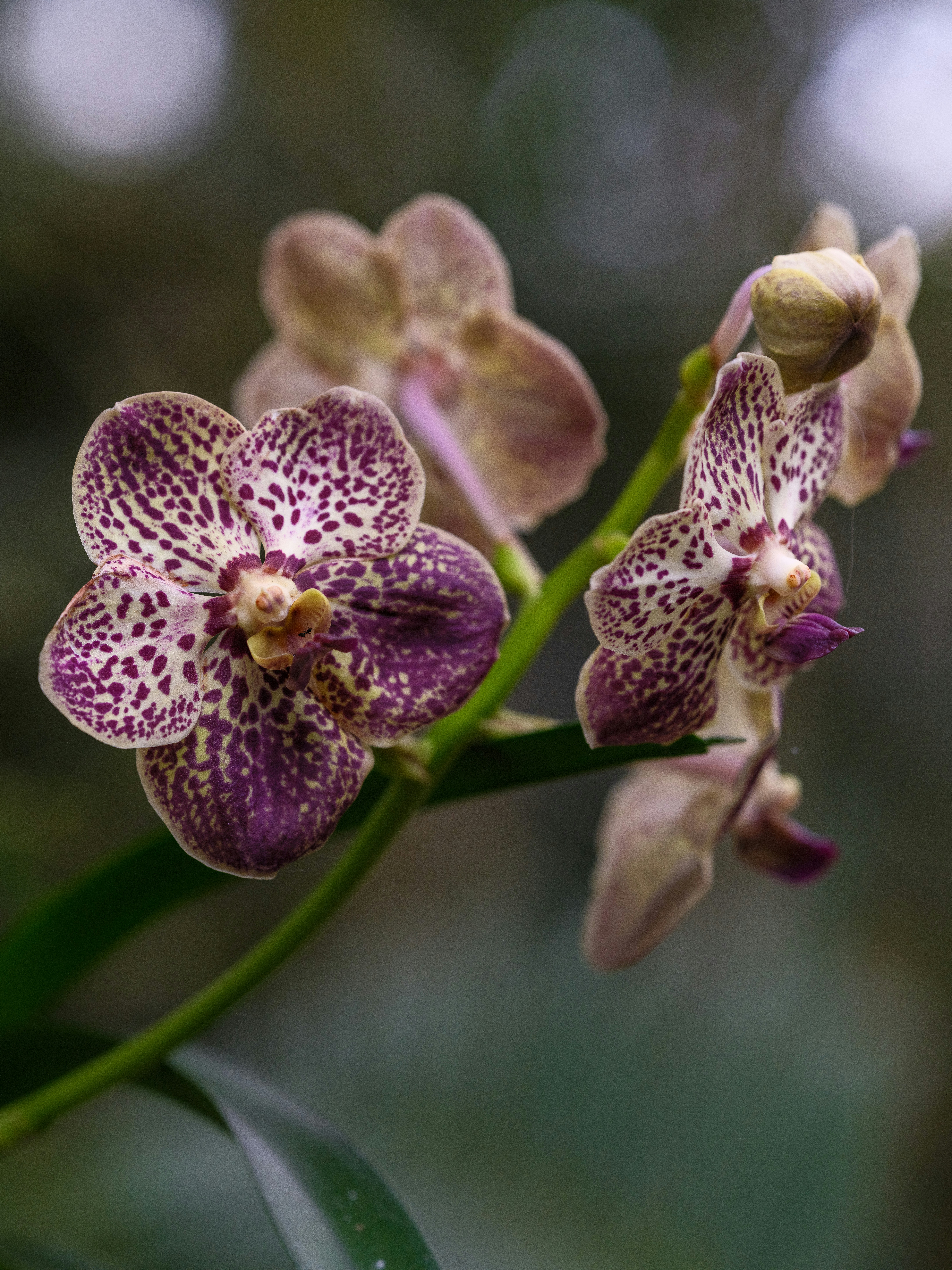 Photo by haberdoedas