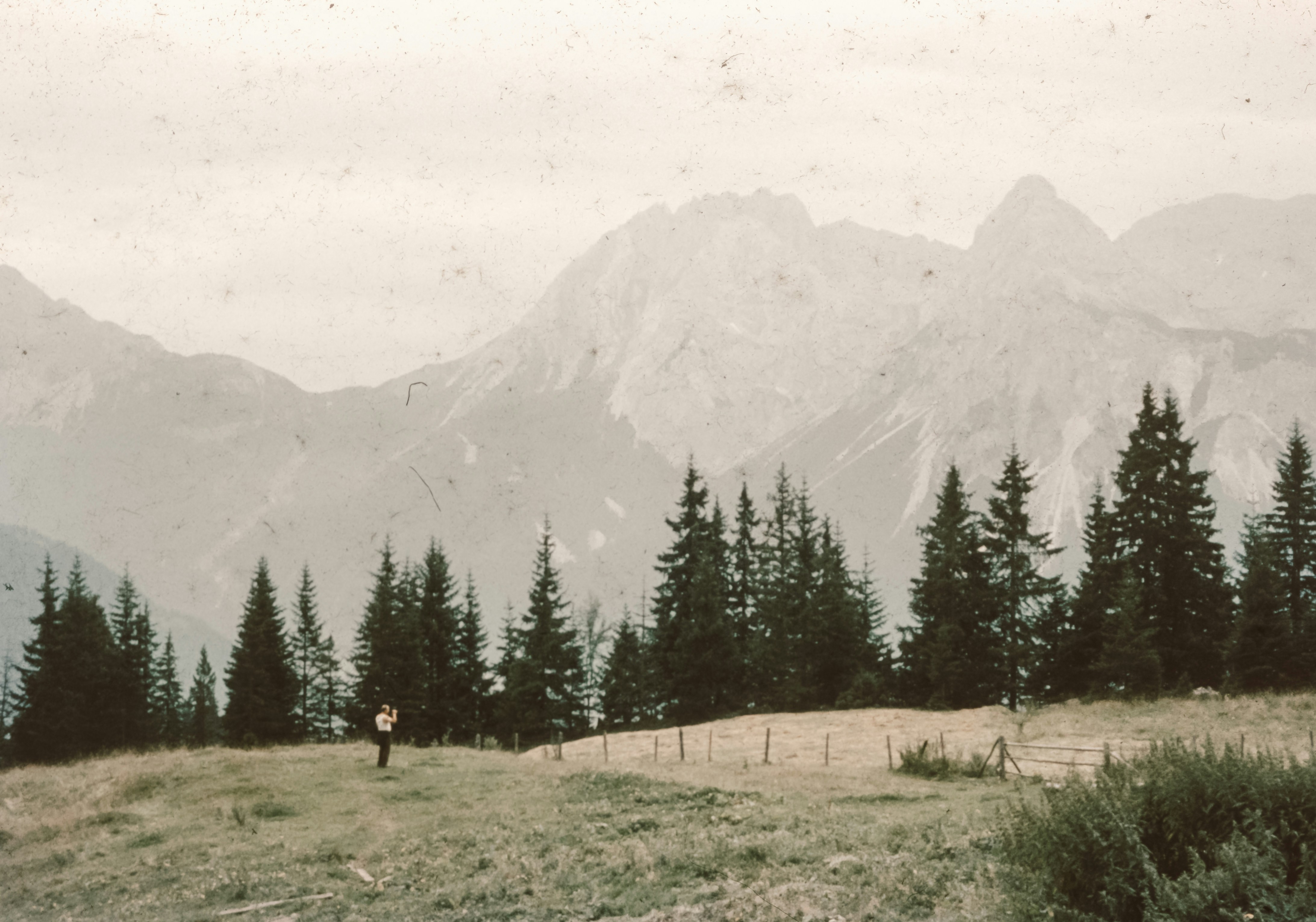 Photo by anniespratt