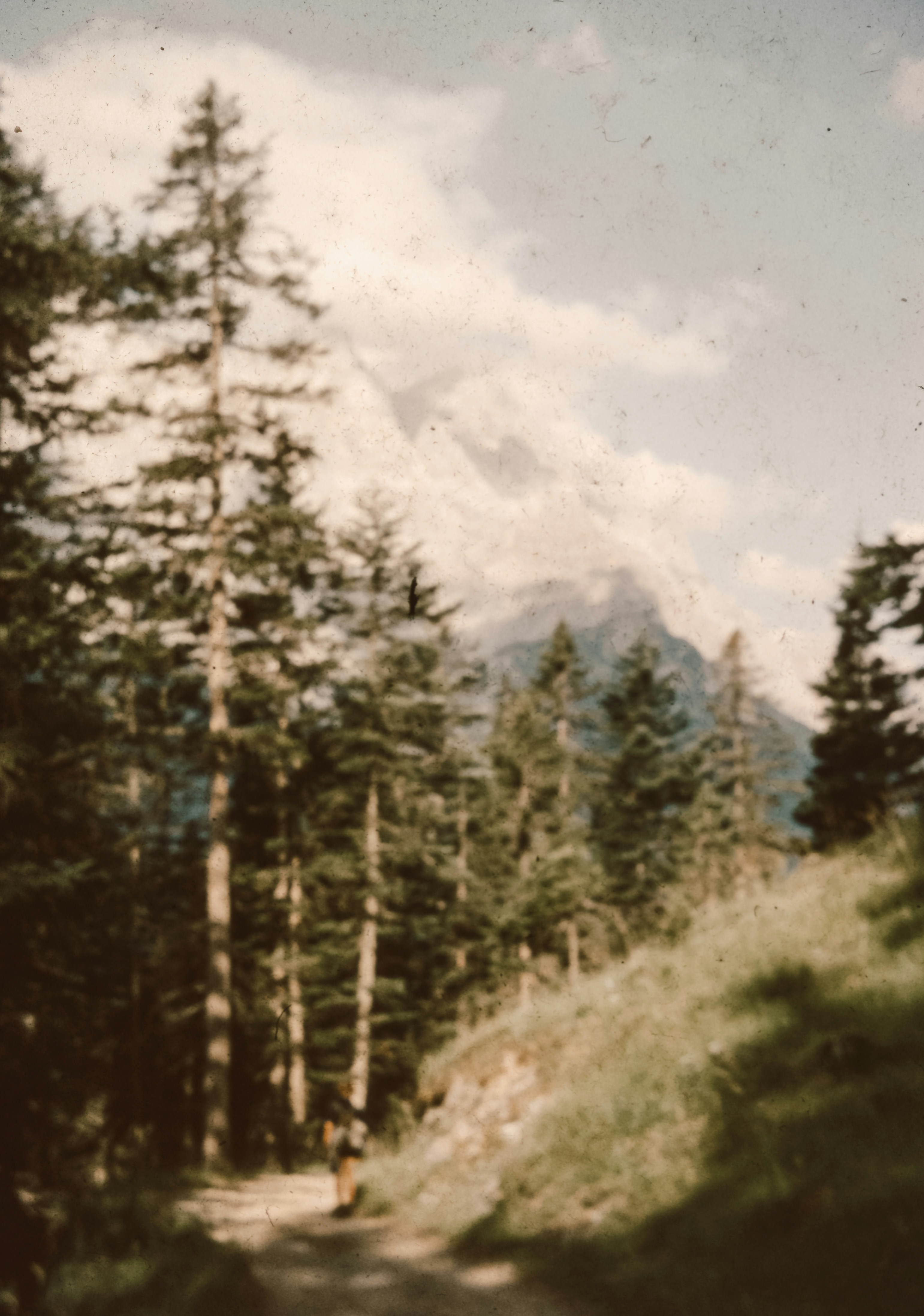 Photo by anniespratt