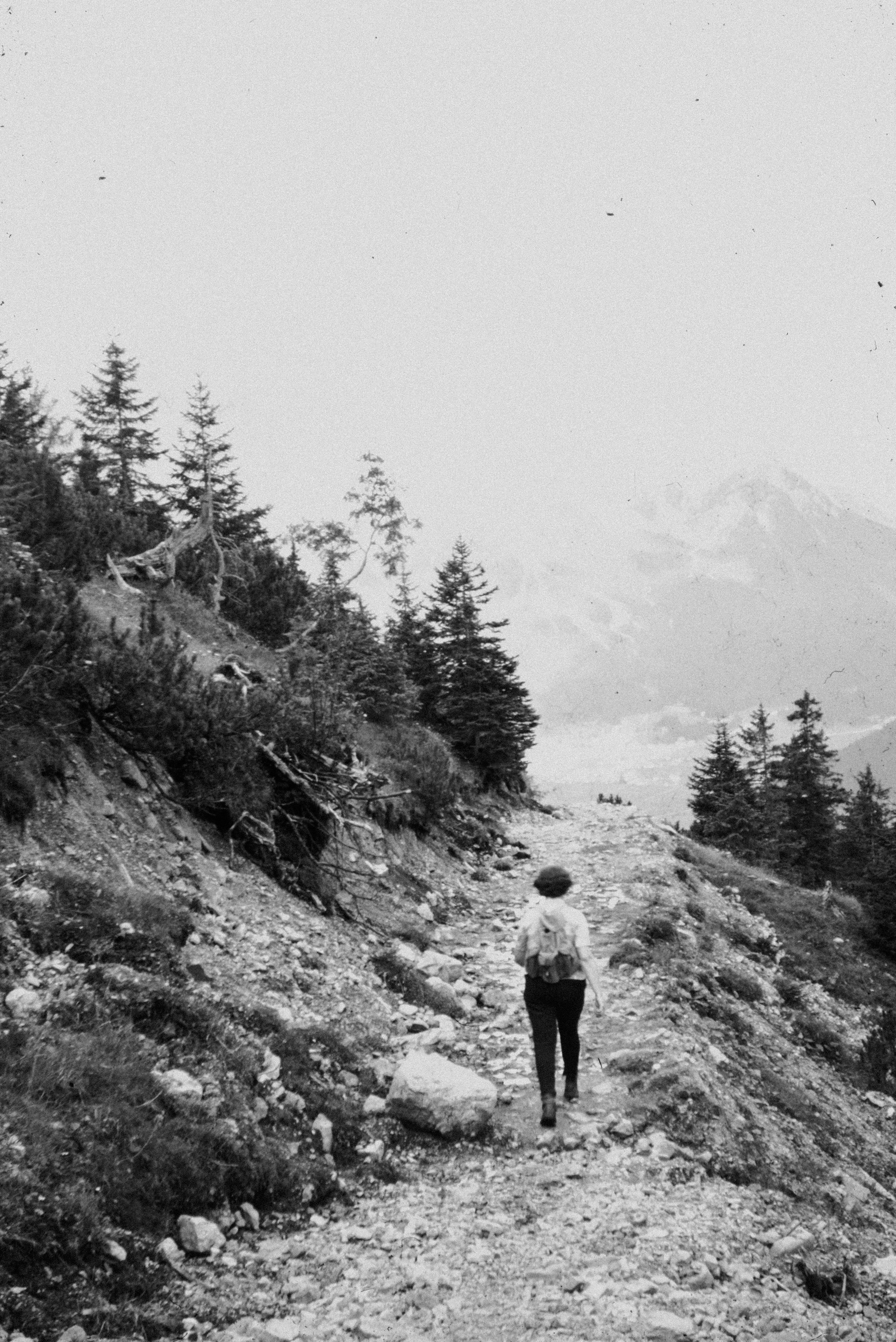 Photo by anniespratt