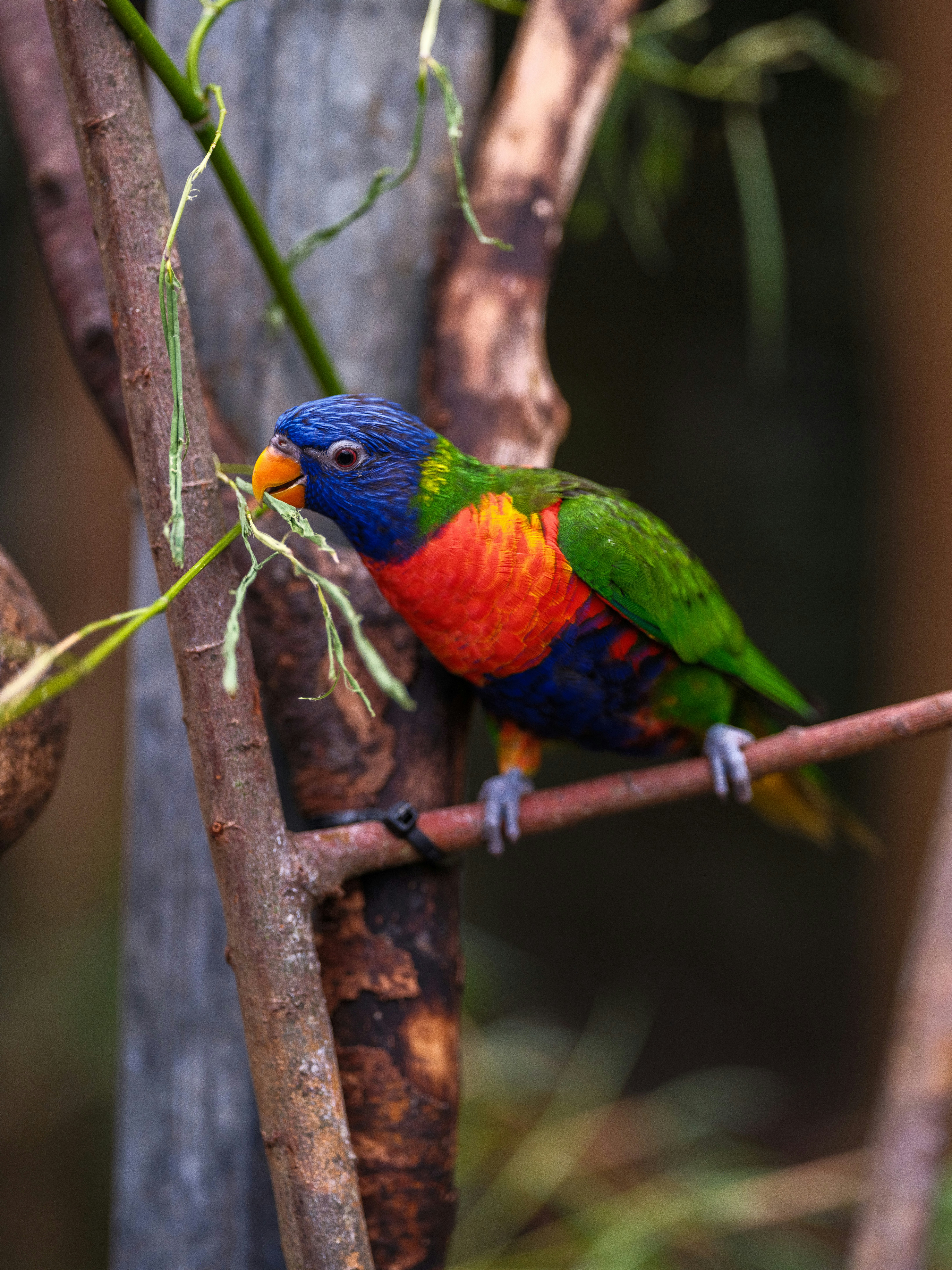 Photo by haberdoedas