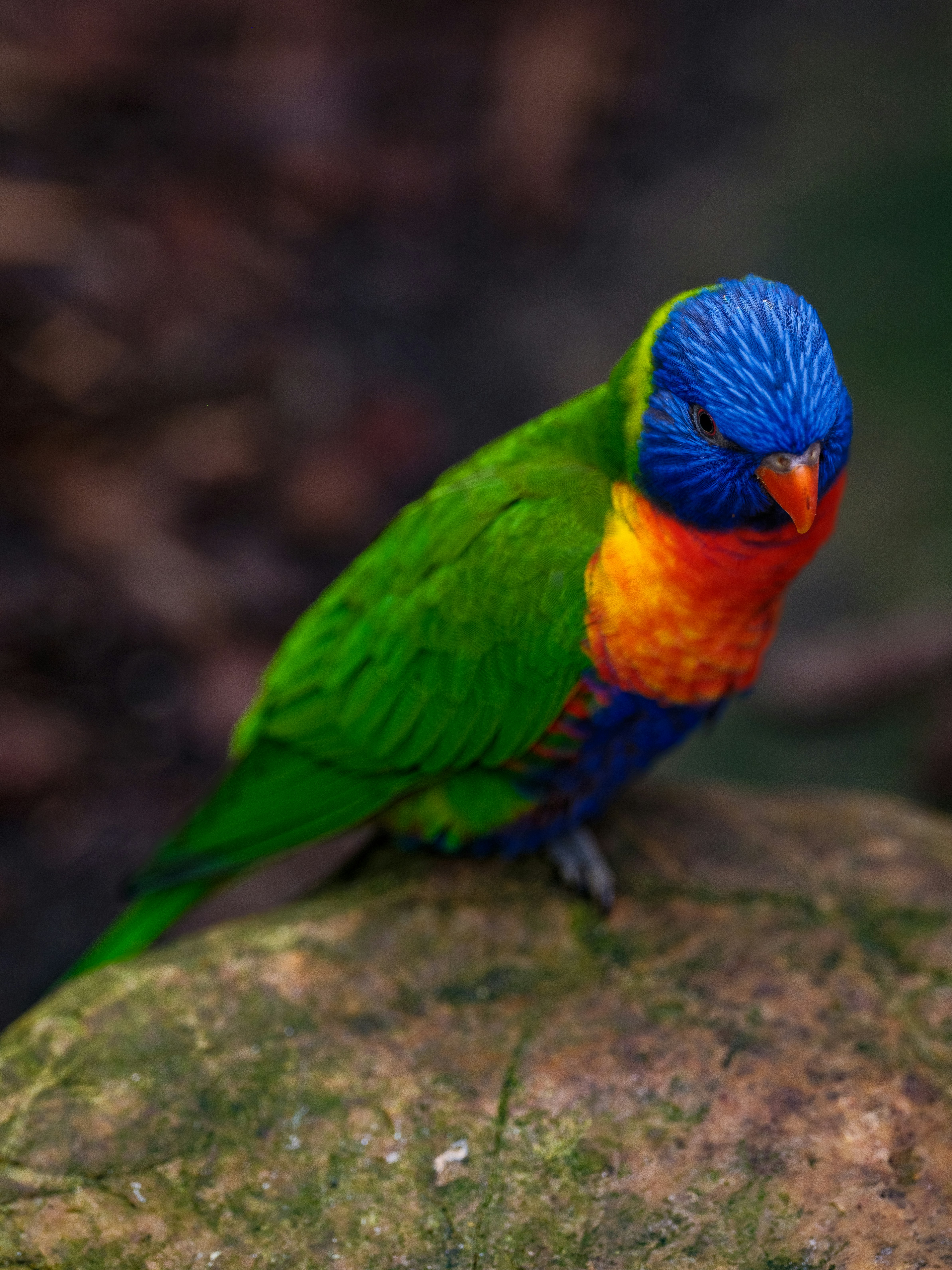 Photo by haberdoedas