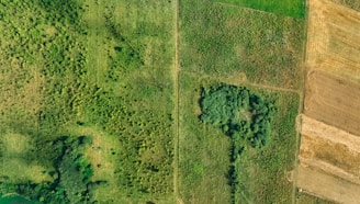 An aerial view of a field with a tractor in it