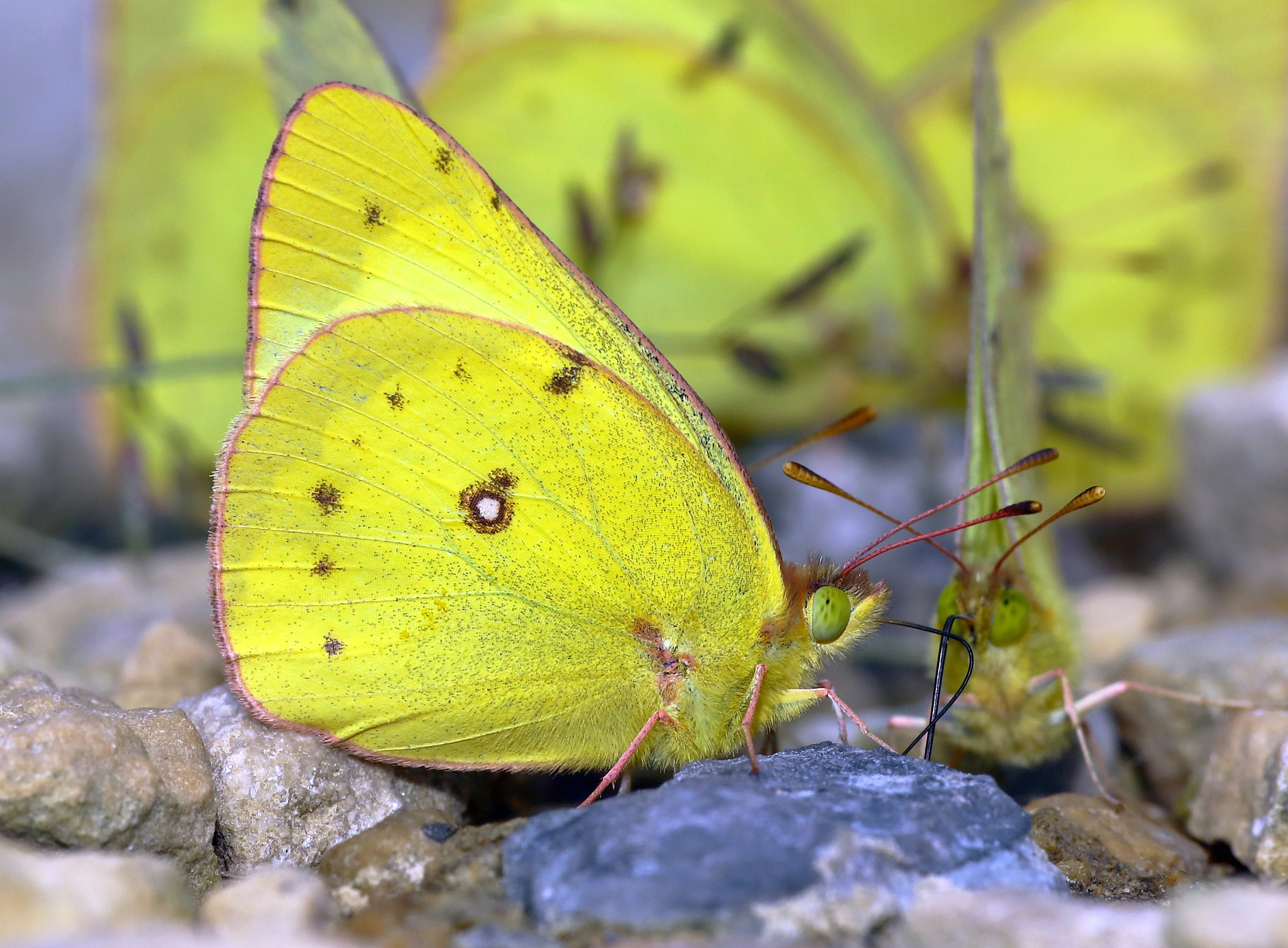 Photo by telliottmbamsc