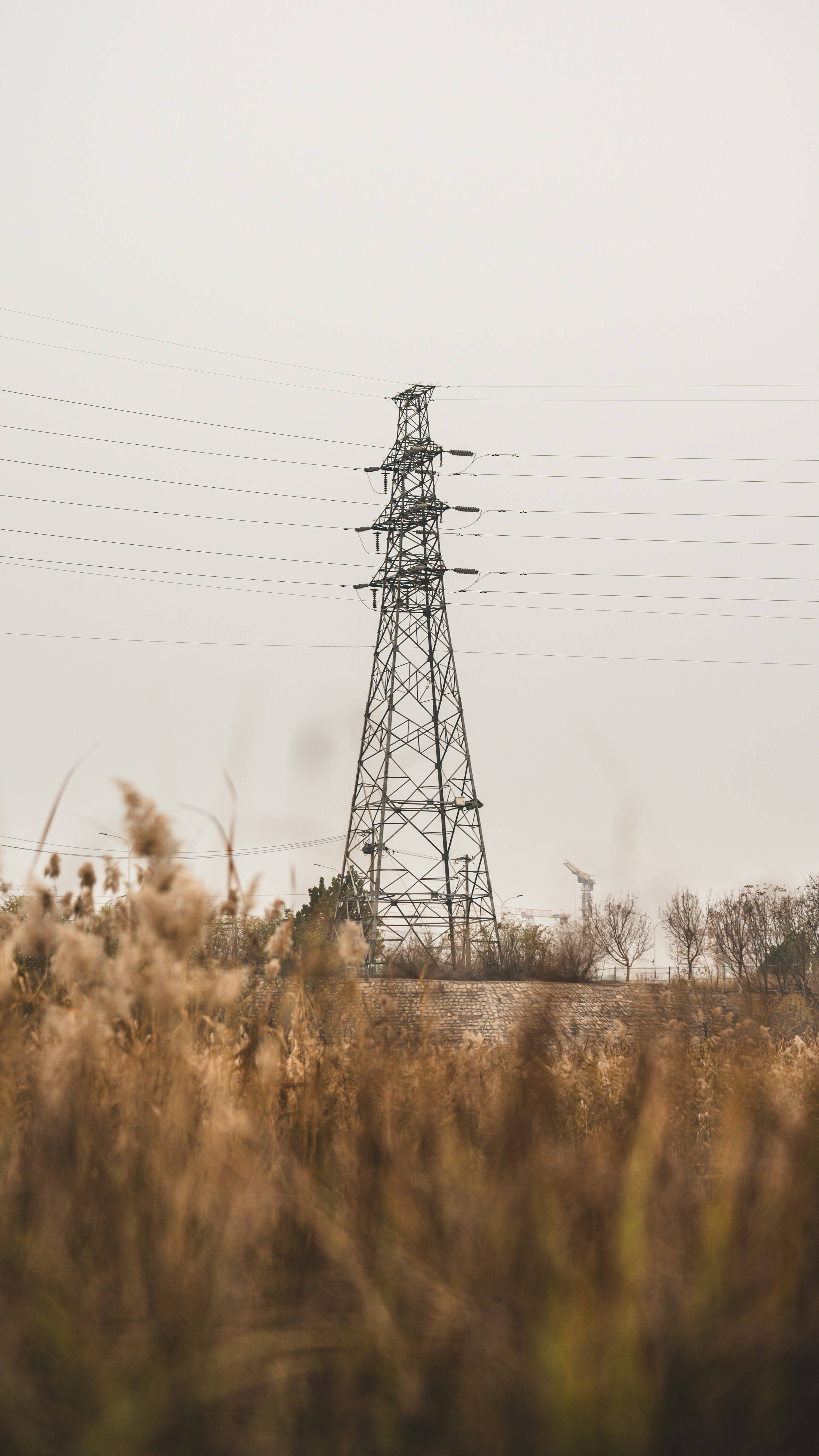 Photo by peek_a_boo_who