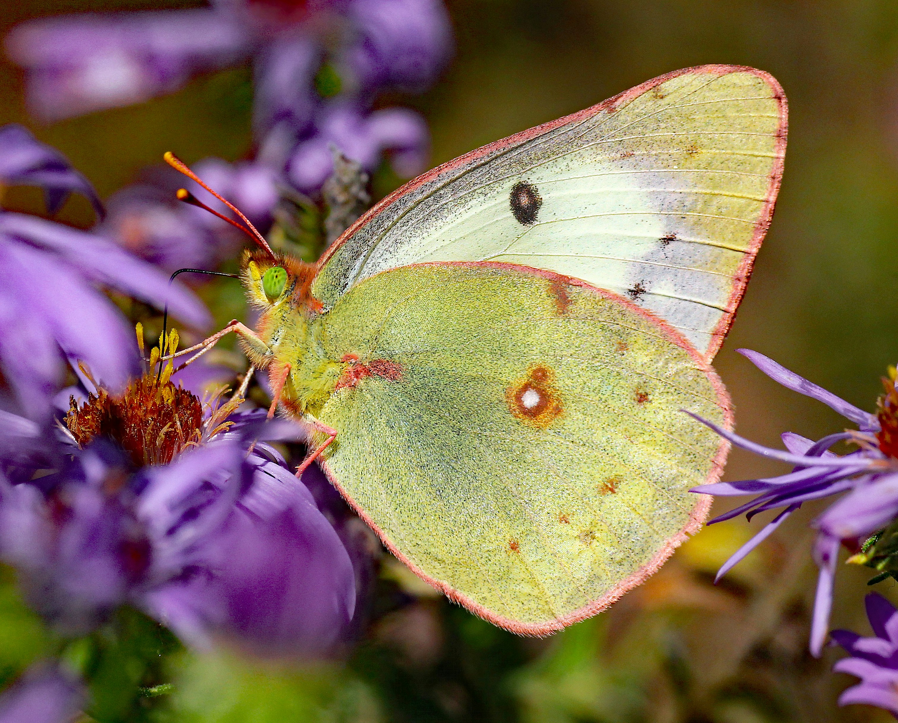 Photo by telliottmbamsc