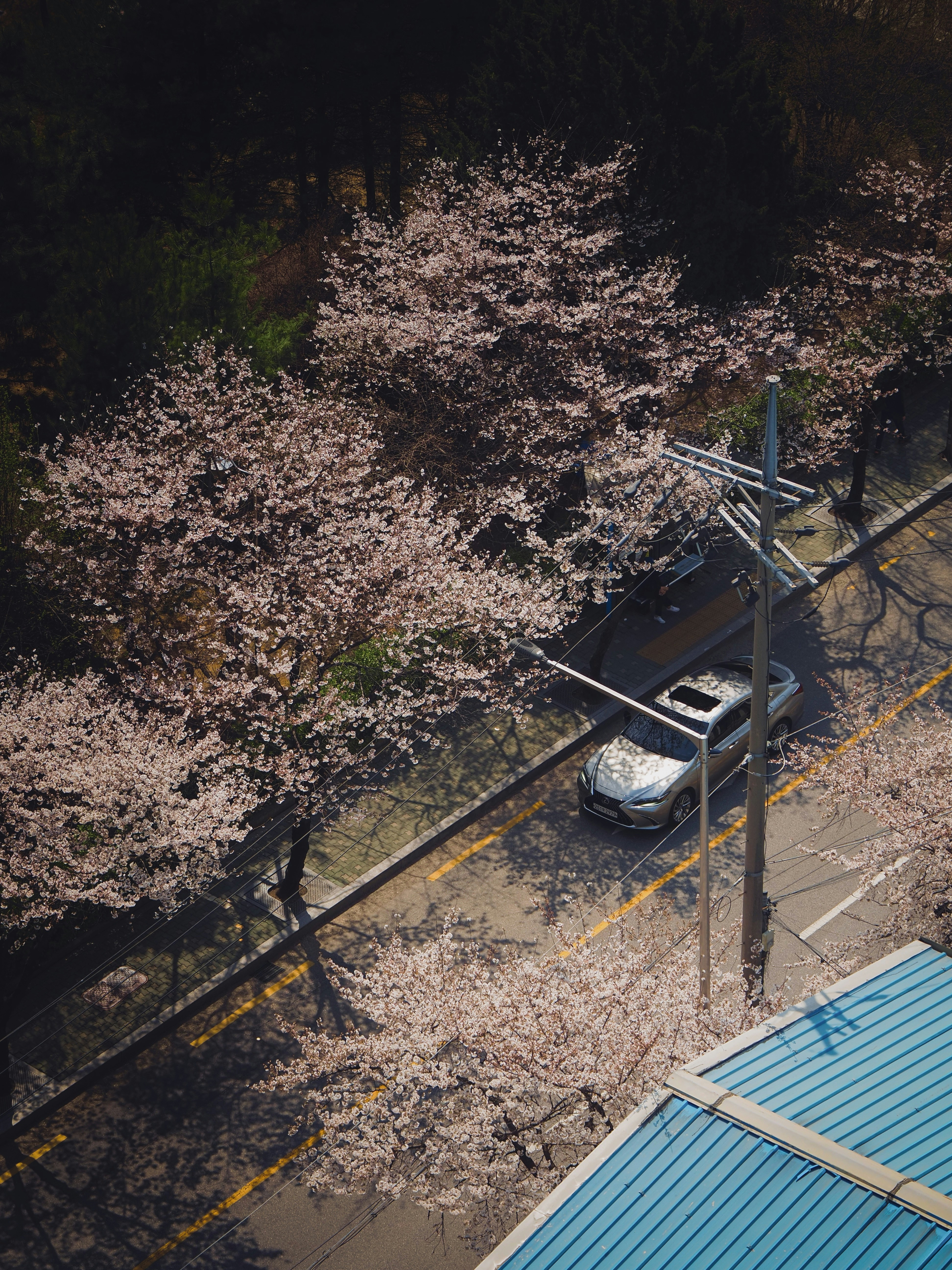 A car is parked on the side of the road
