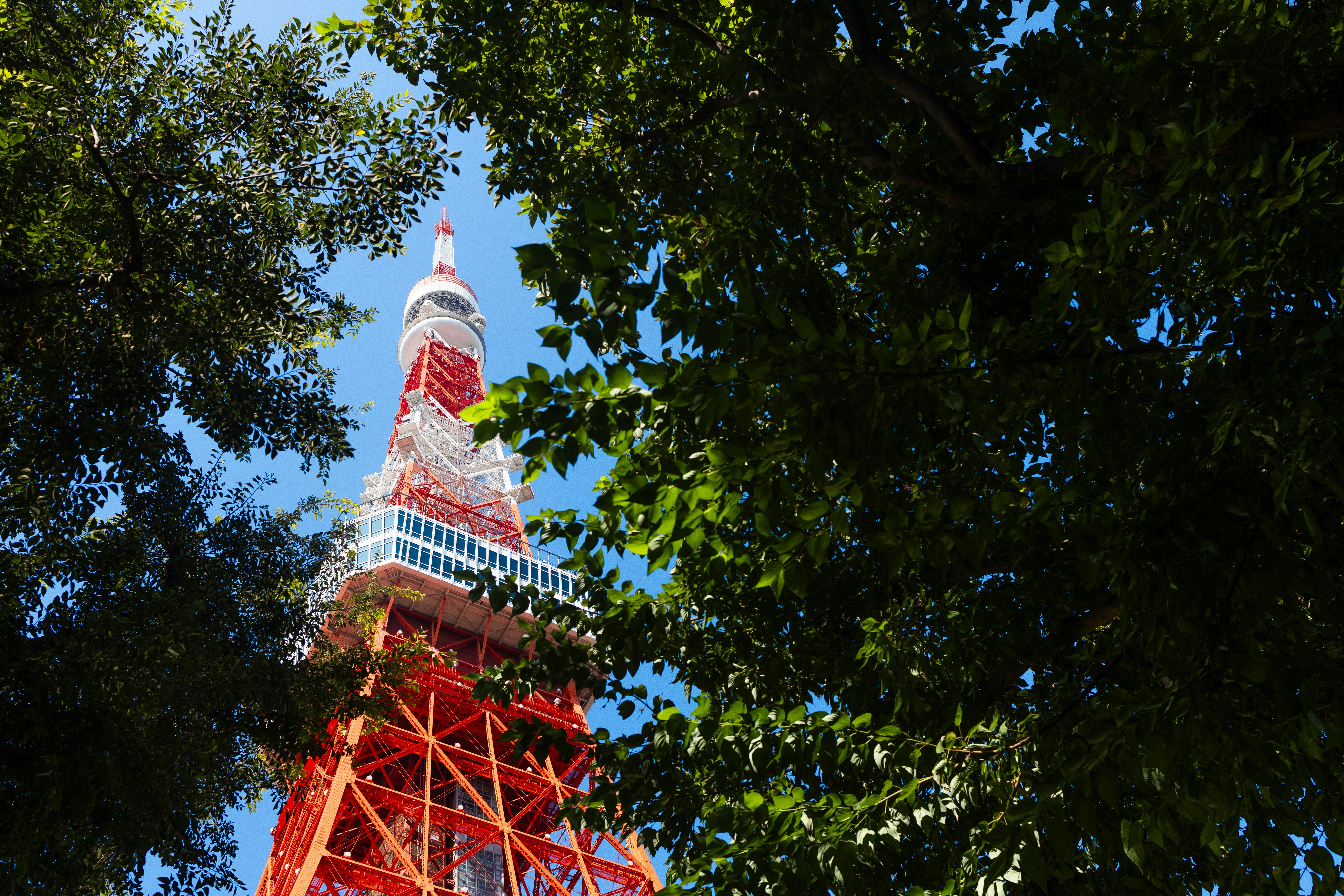 Ueno Park (Ueno Onshi Koen) attraction