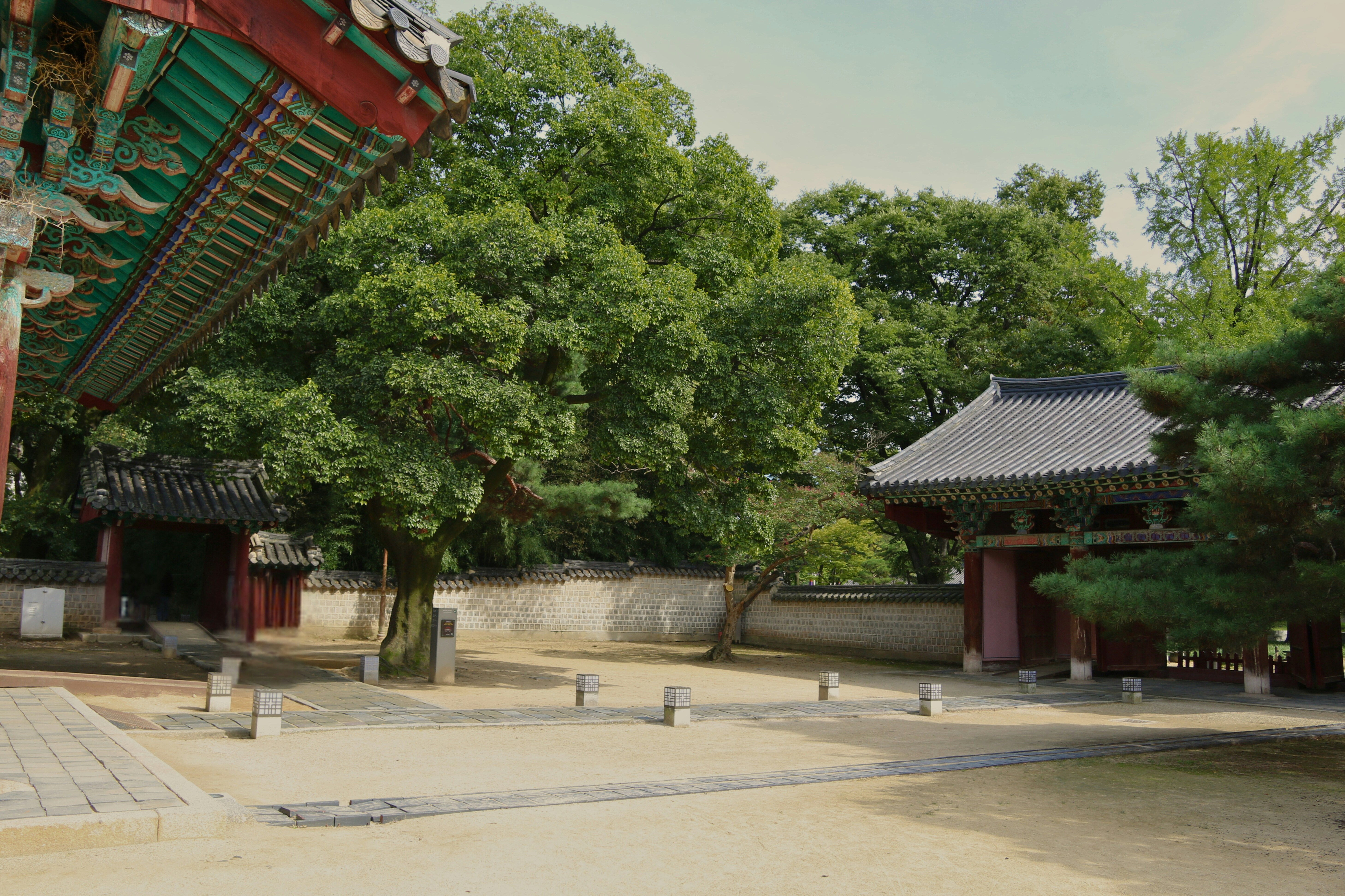 Photo by brunafisantos