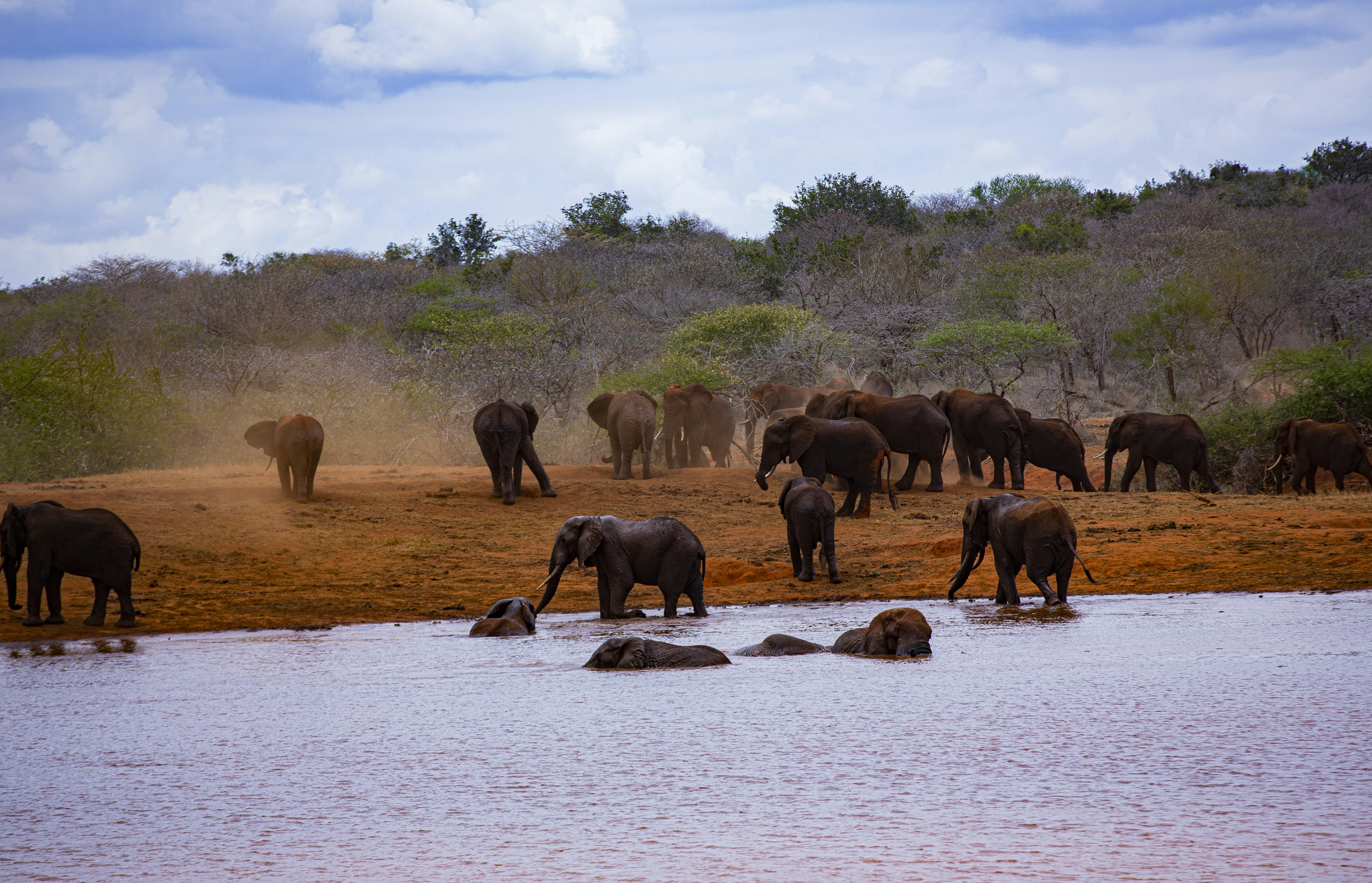 Safaris in Kenya with Rwanda Gorilla Trekking