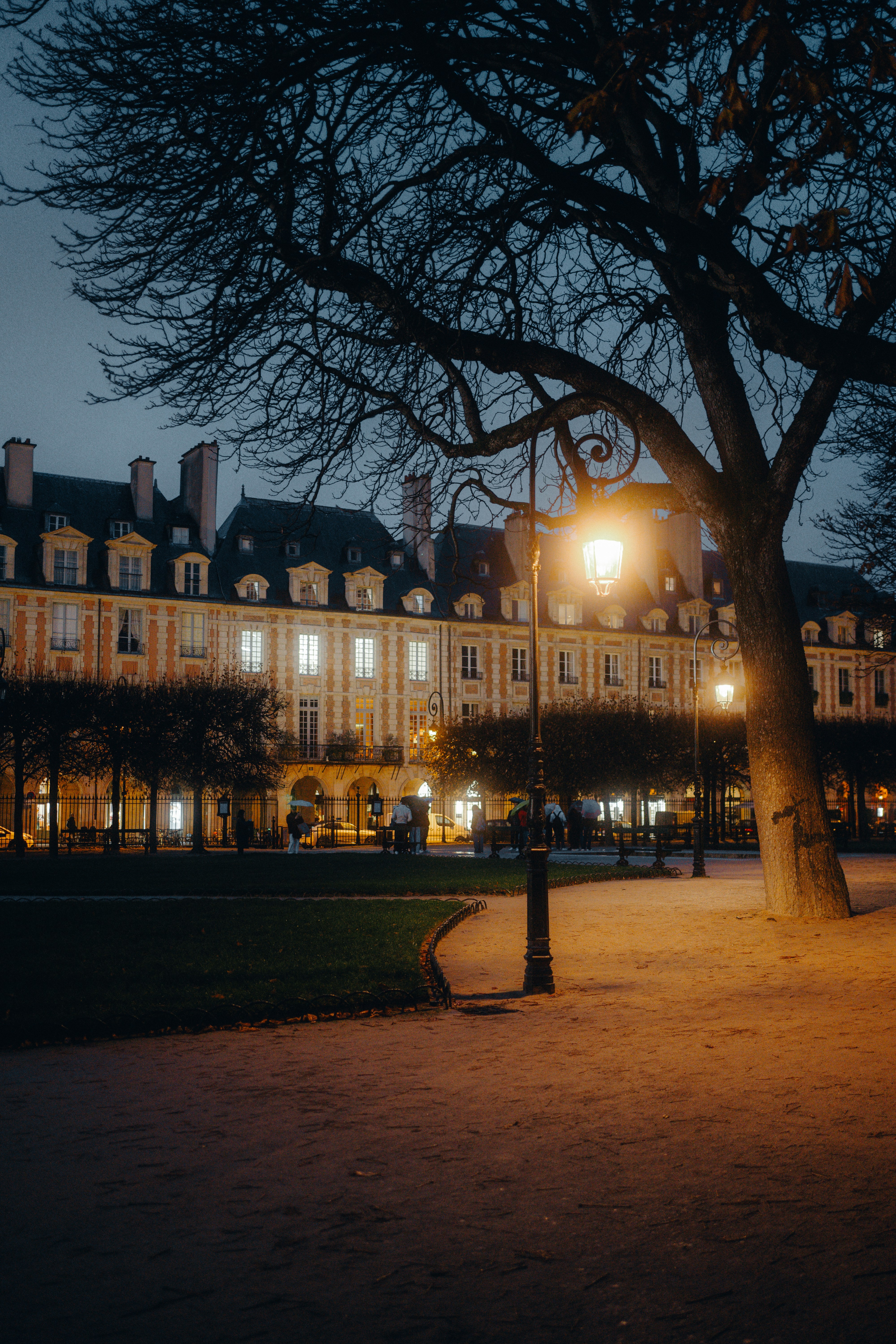 A large building with a tree in front of it