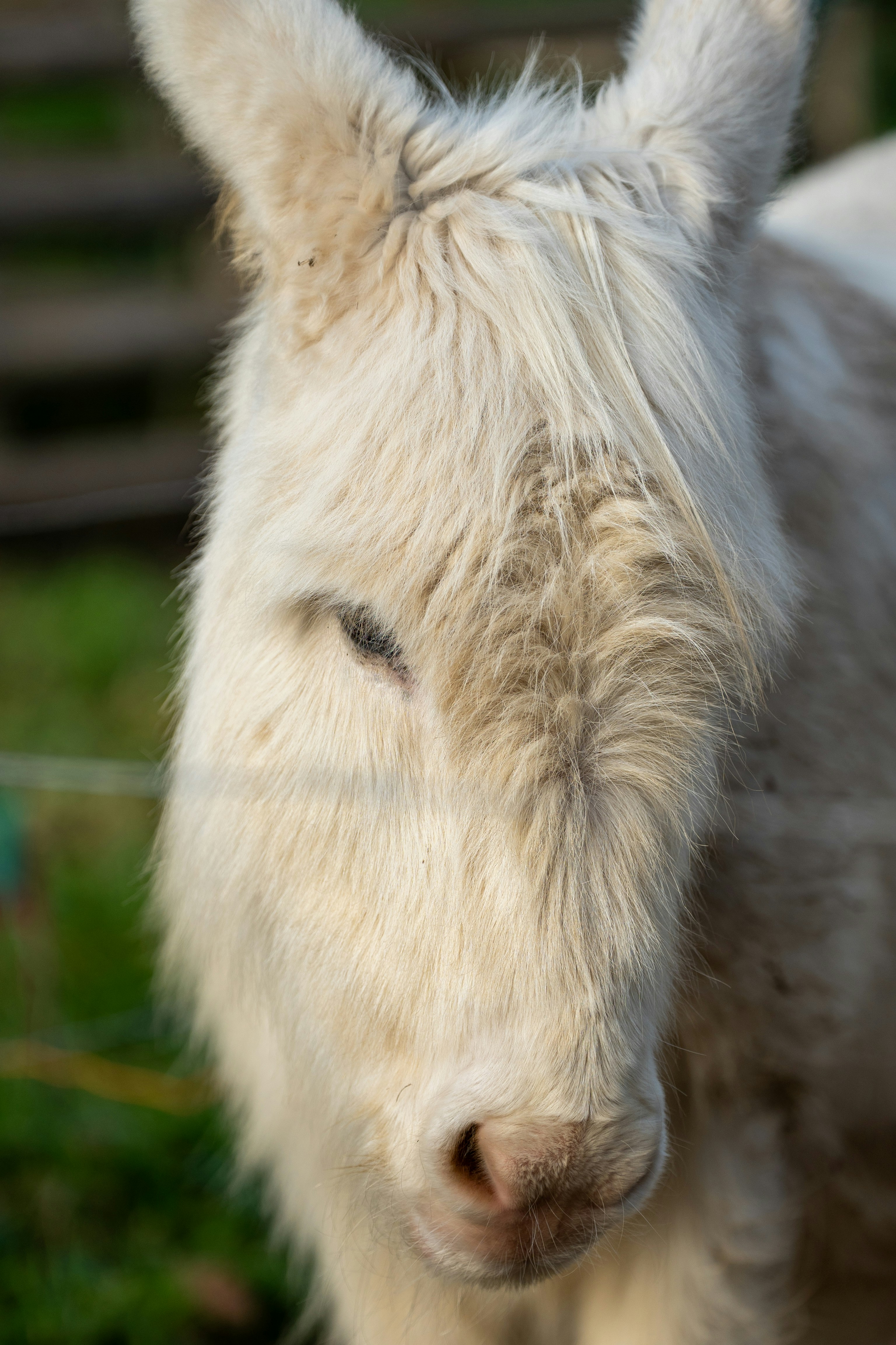 Photo by robertschwarz