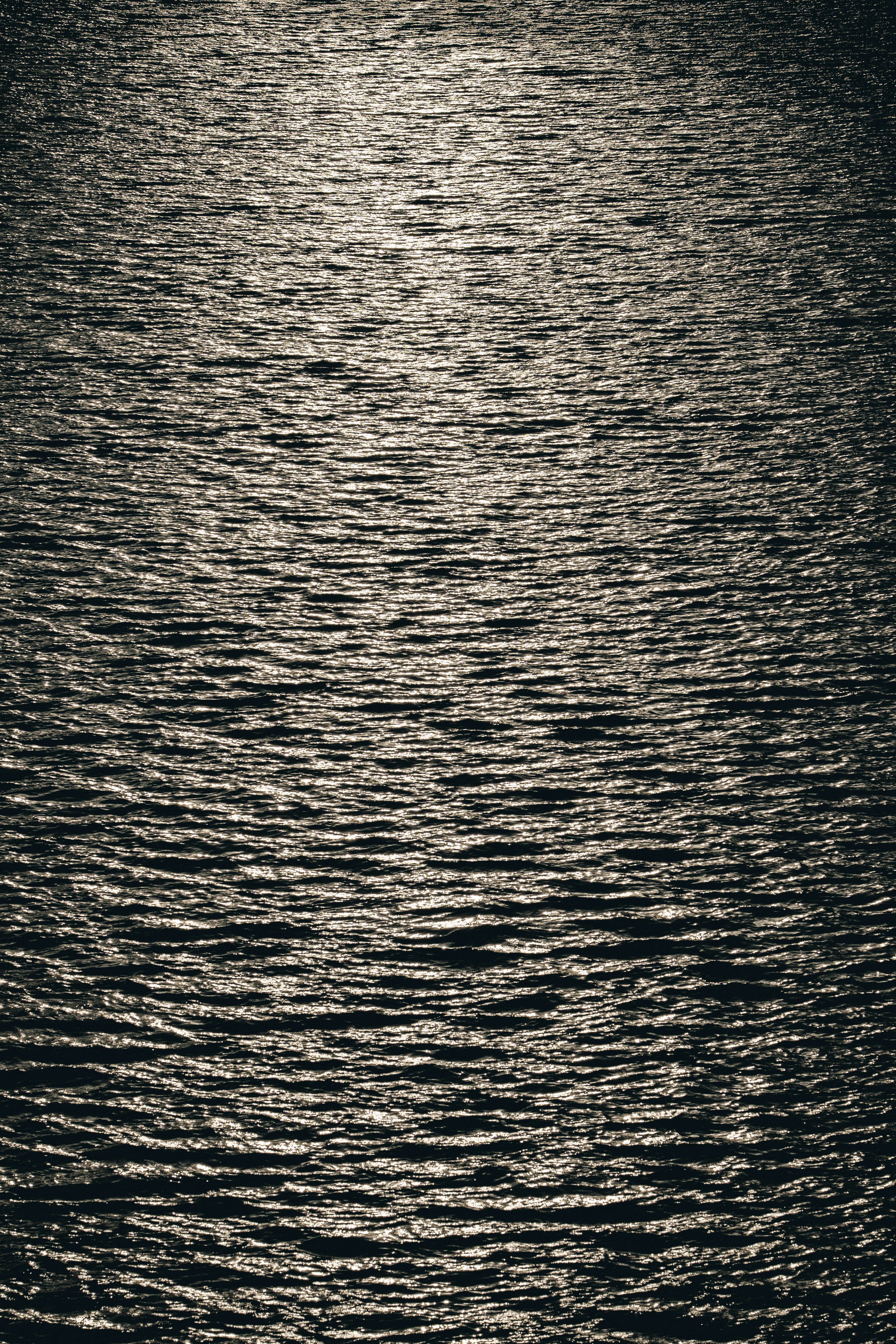 Photo by robertschwarz