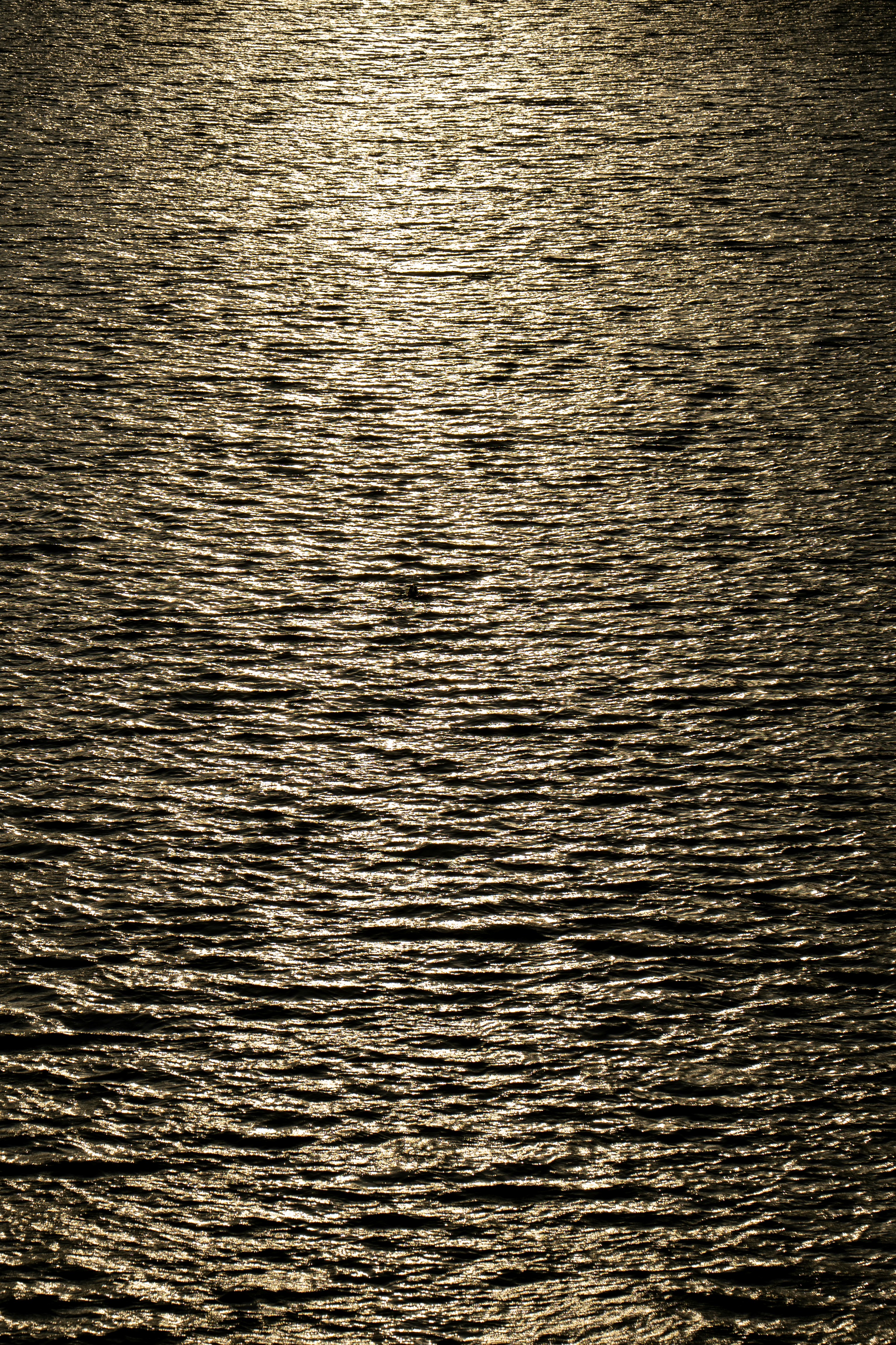 Photo by robertschwarz