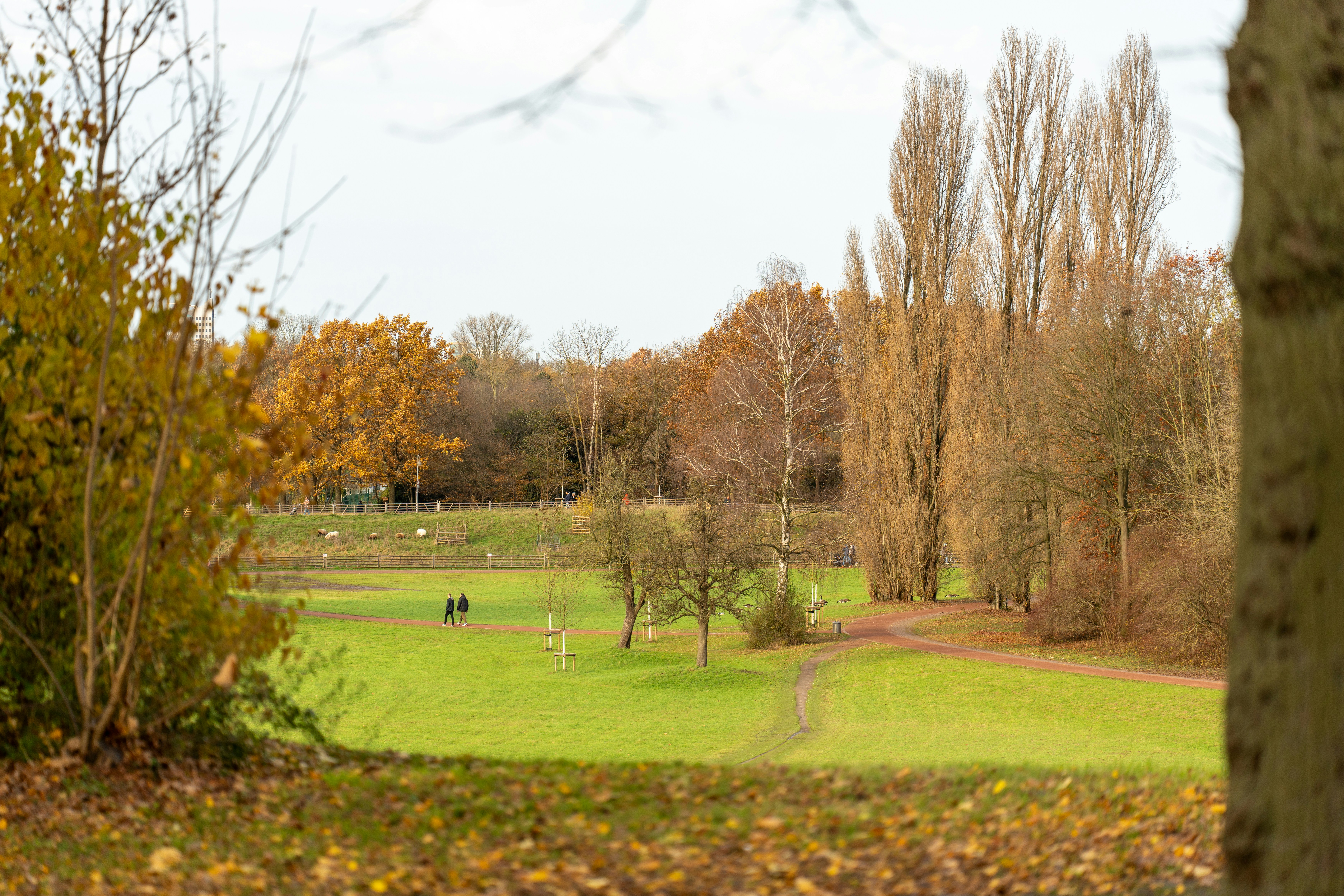 Photo by robertschwarz