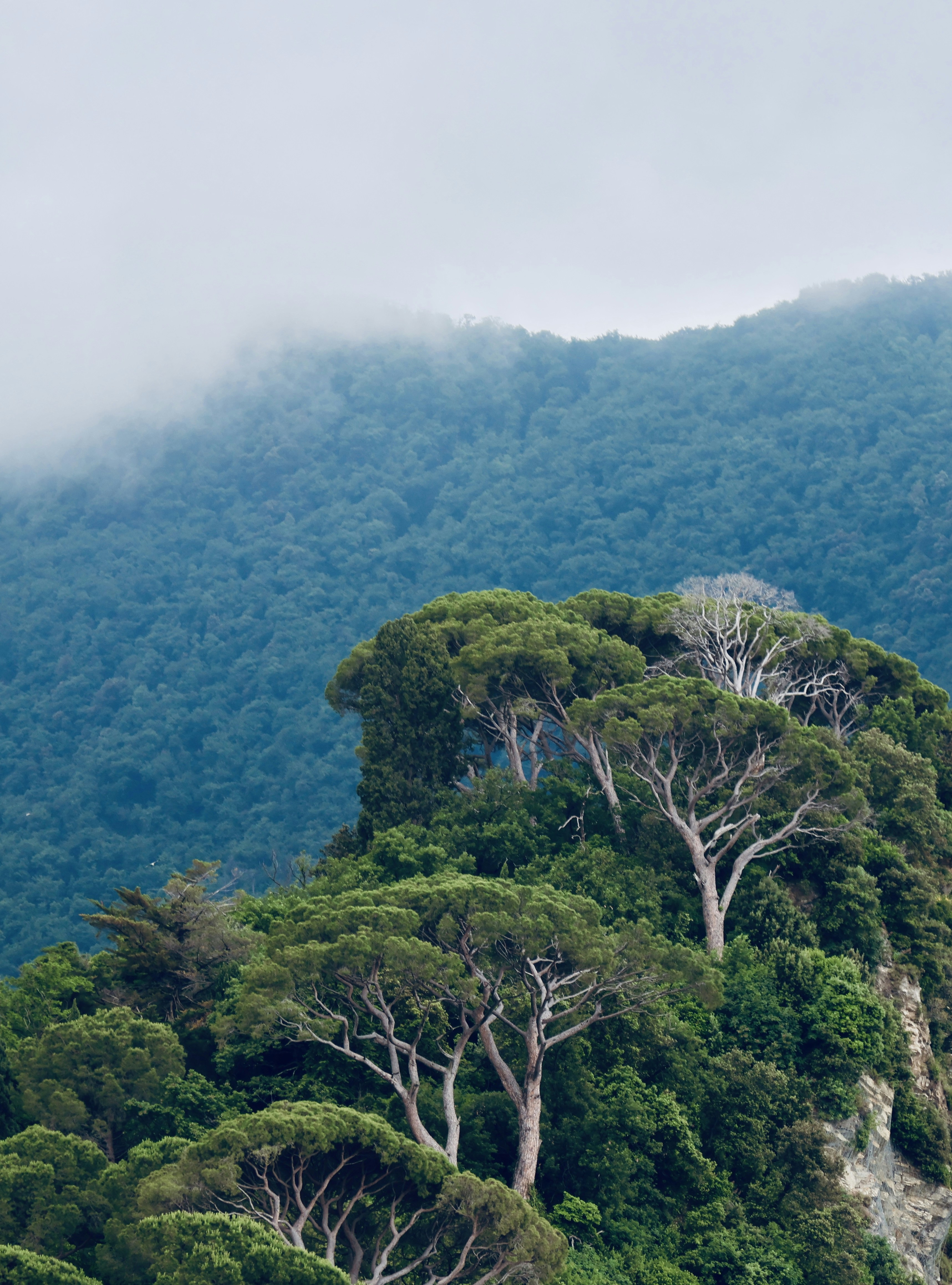 Photo by moiranazzari