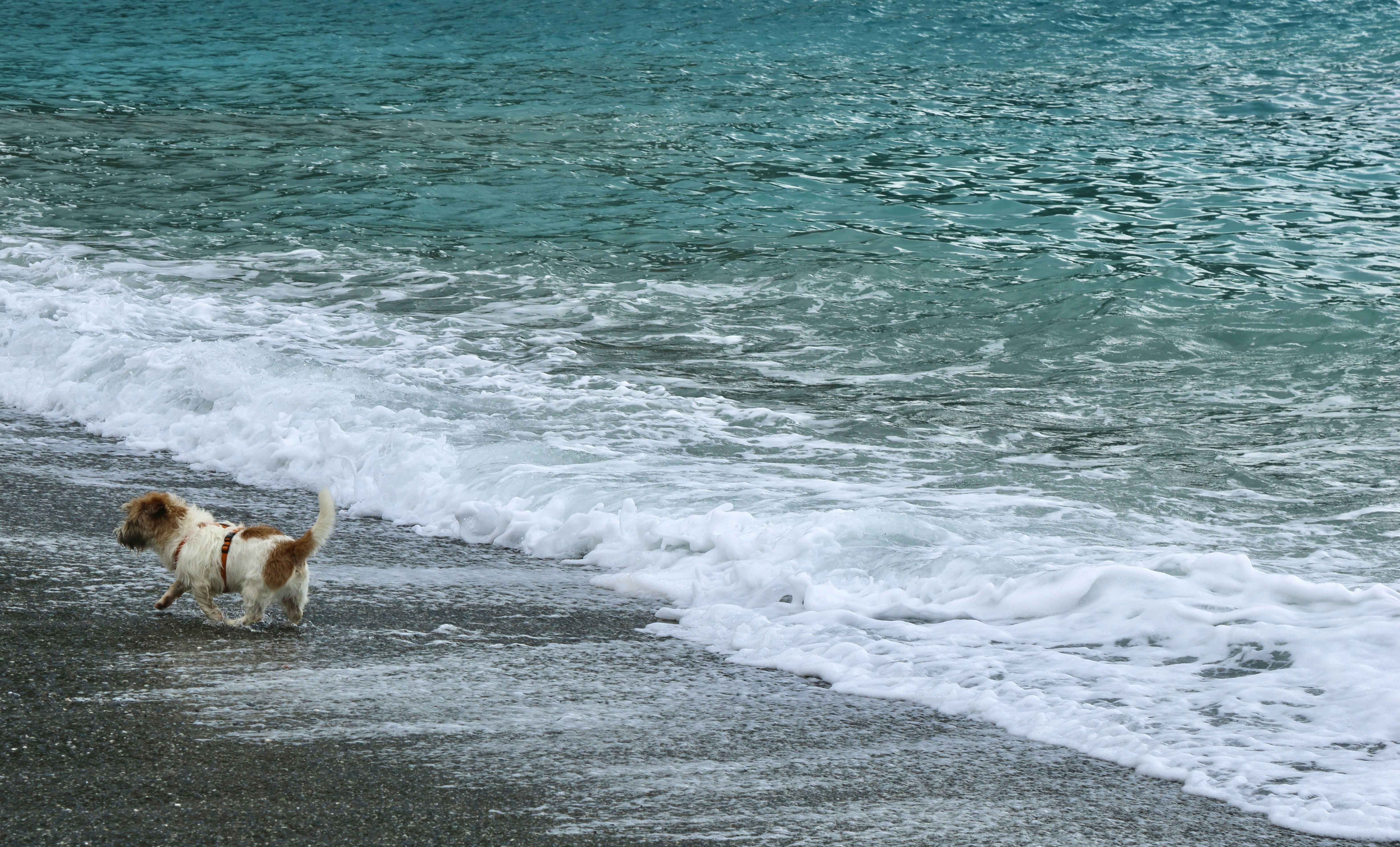 Photo by moiranazzari