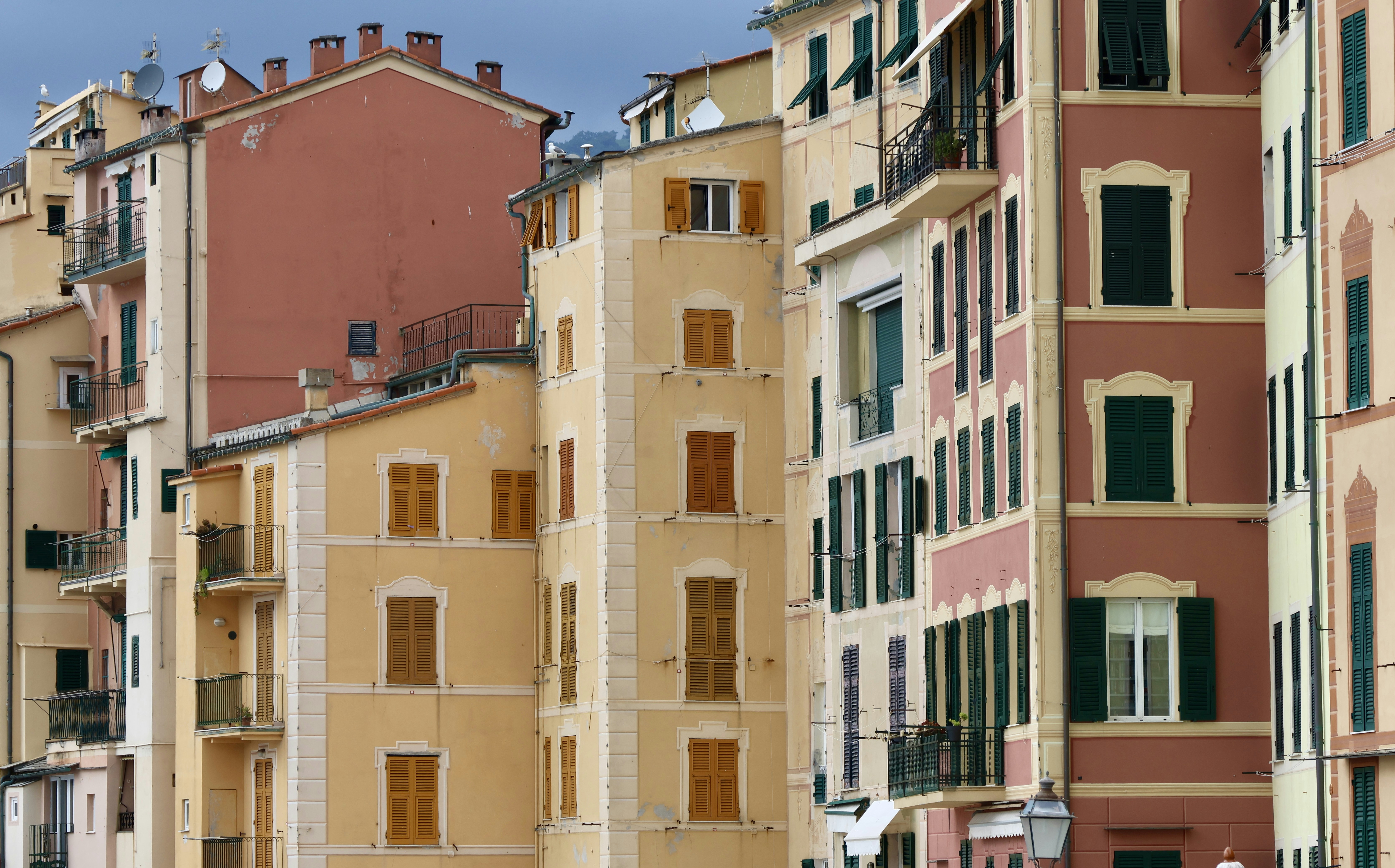 Photo by moiranazzari