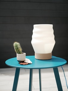 A table with a cactus and a white vase on it