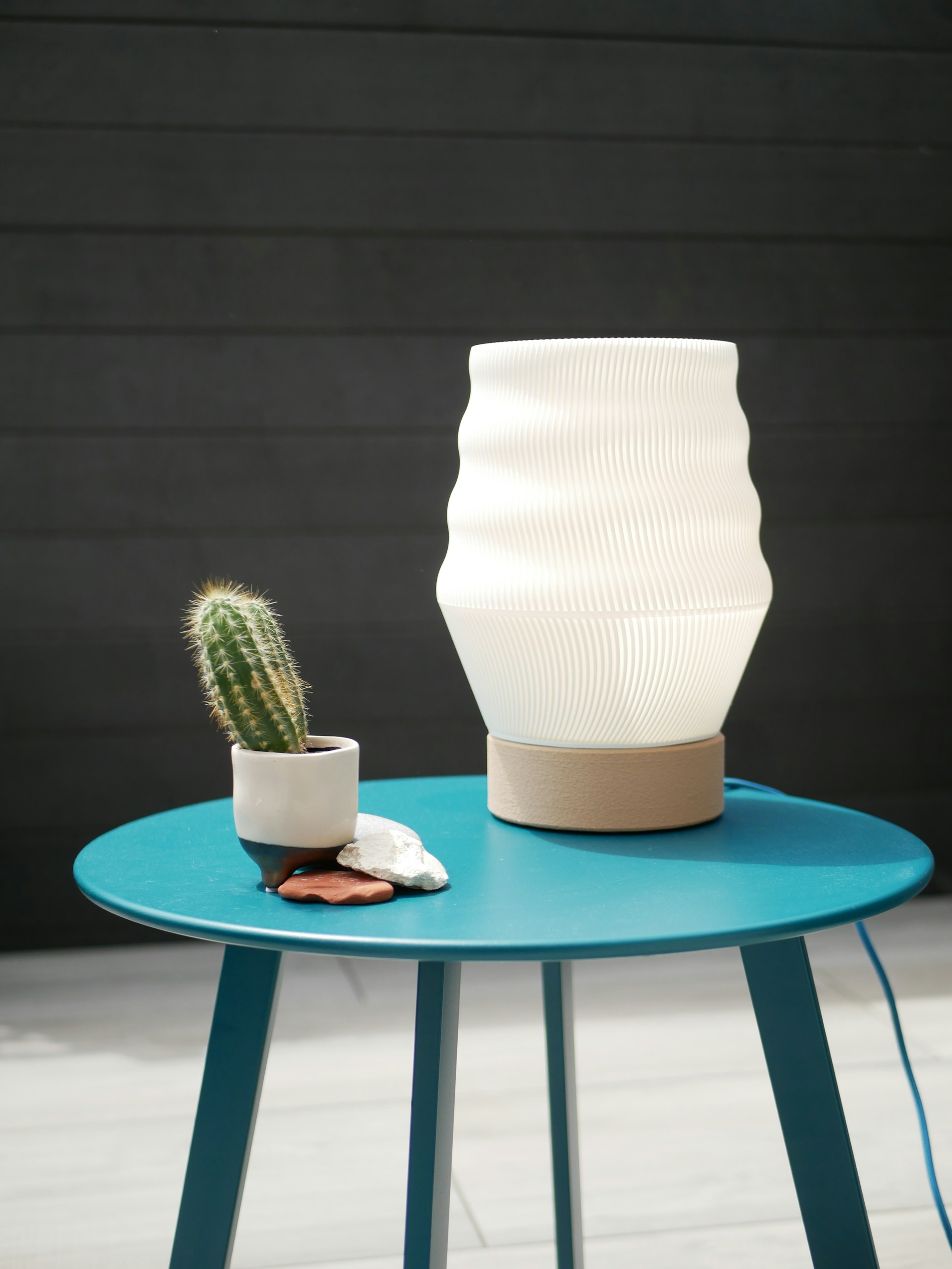 A table with a cactus and a white vase on it