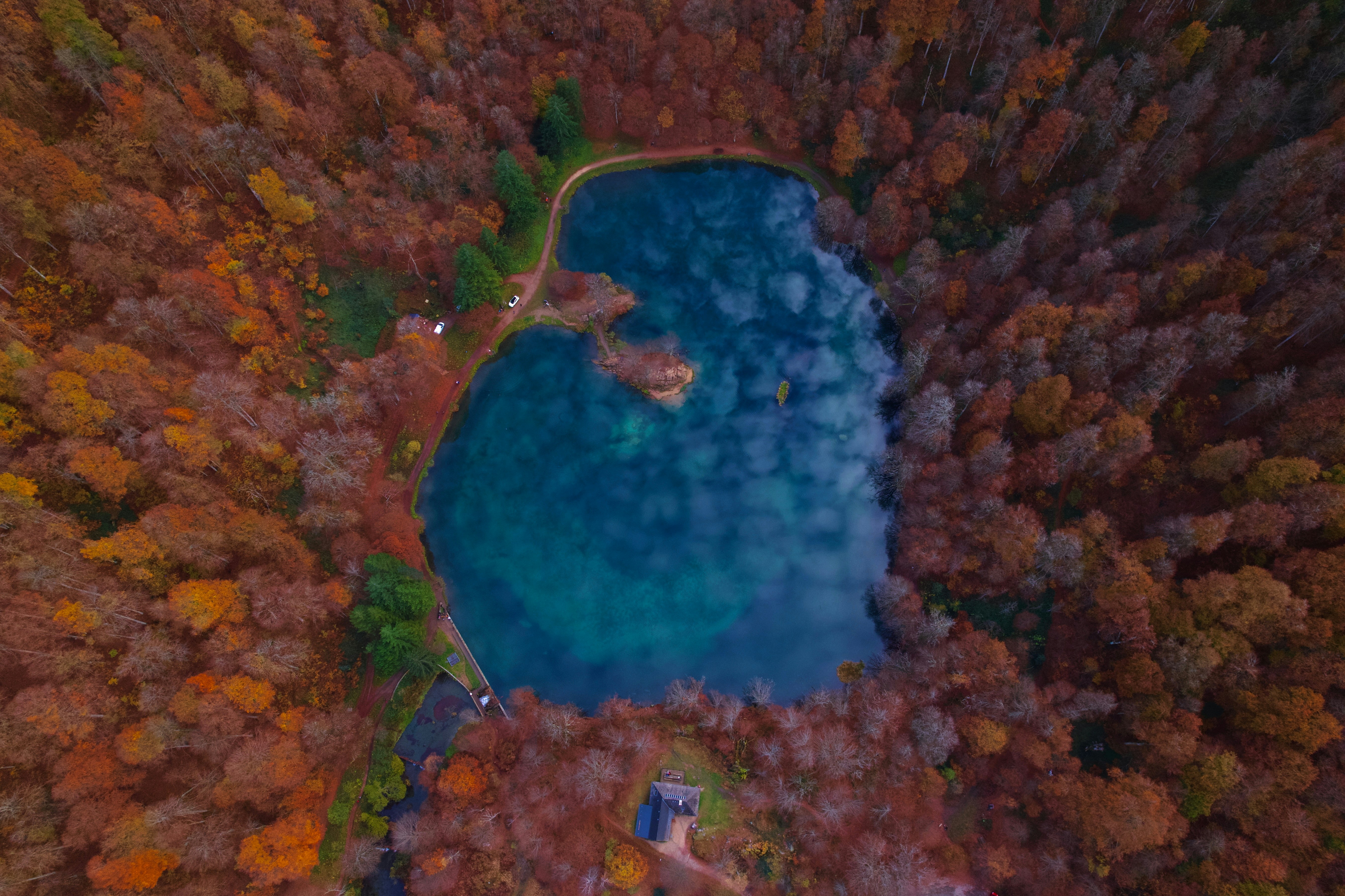 A bird's eye view of a lake surrounded by trees