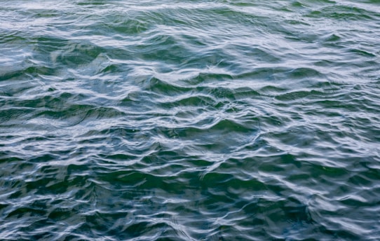 A large body of water with waves on it