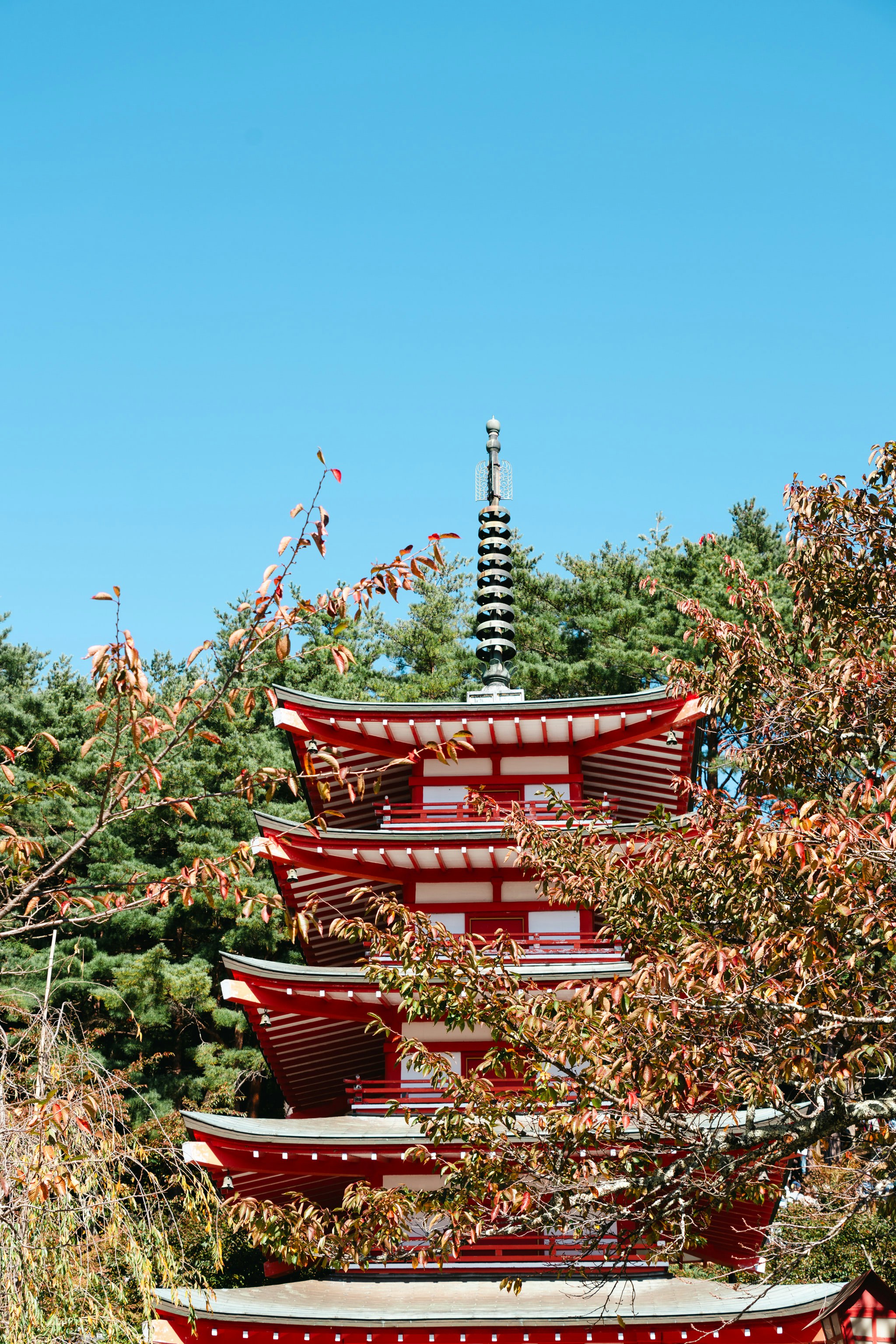 Photo by markuswinkler