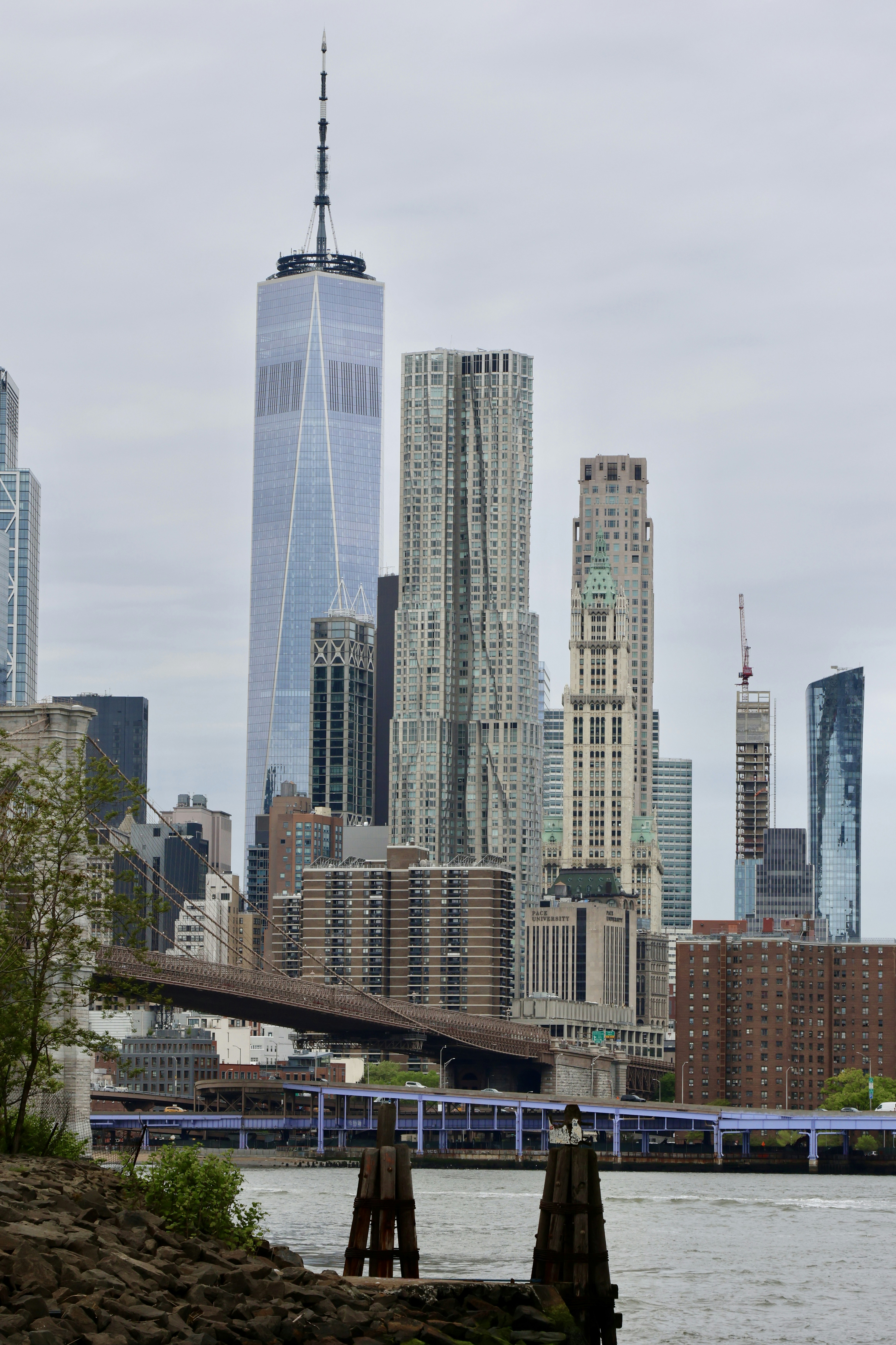 Photo by moiranazzari