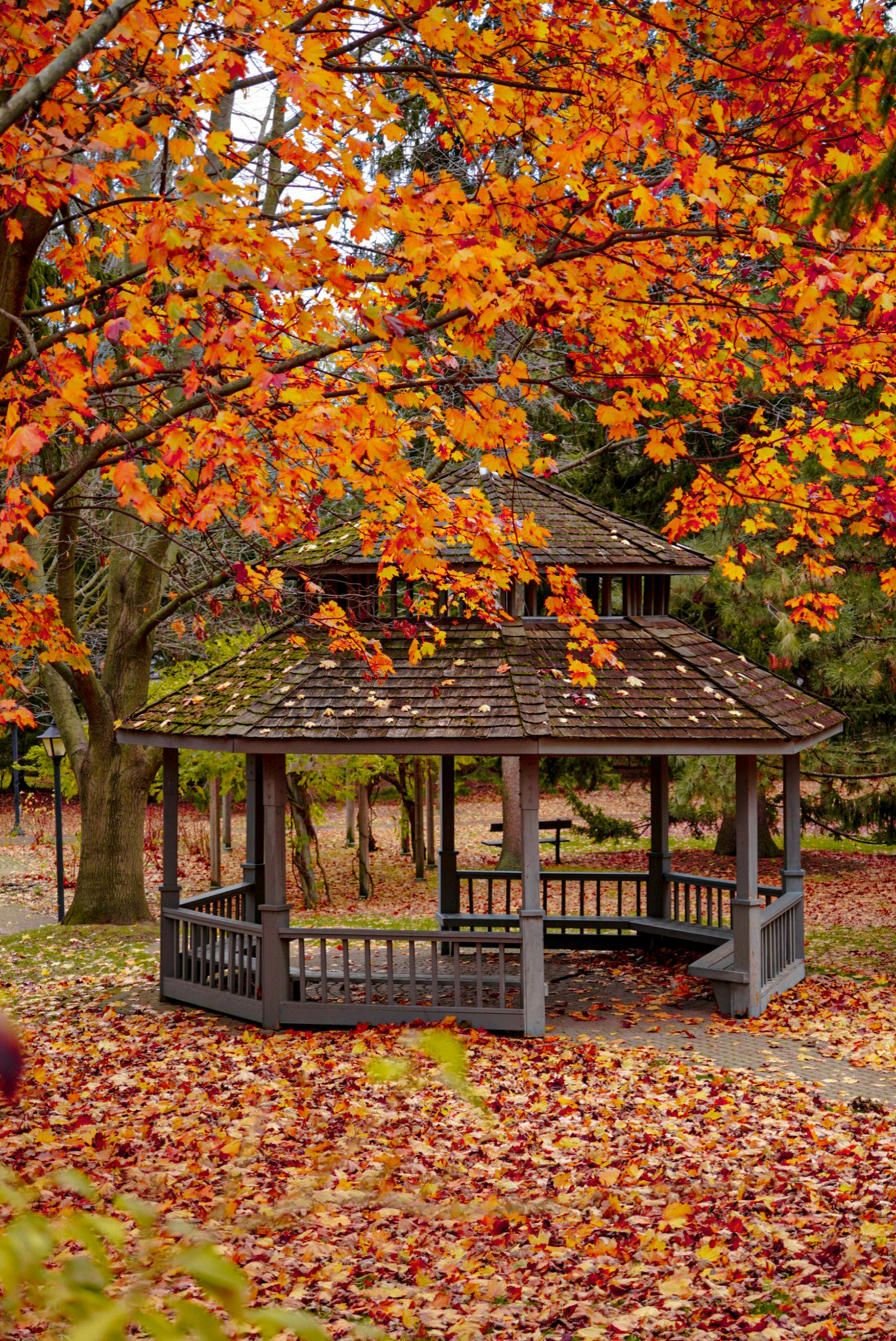 Photo by meri_vasilevski