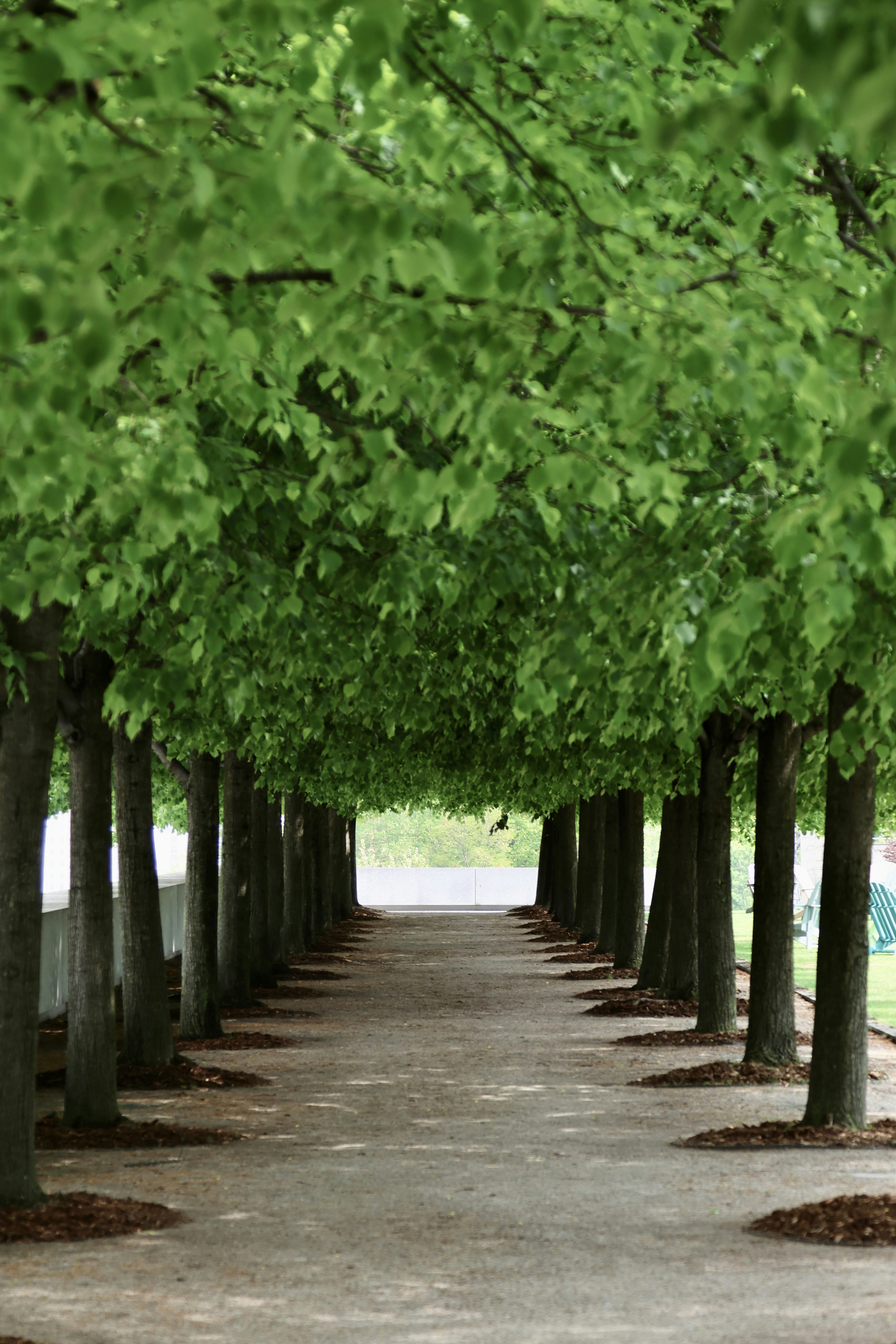 Photo by moiranazzari