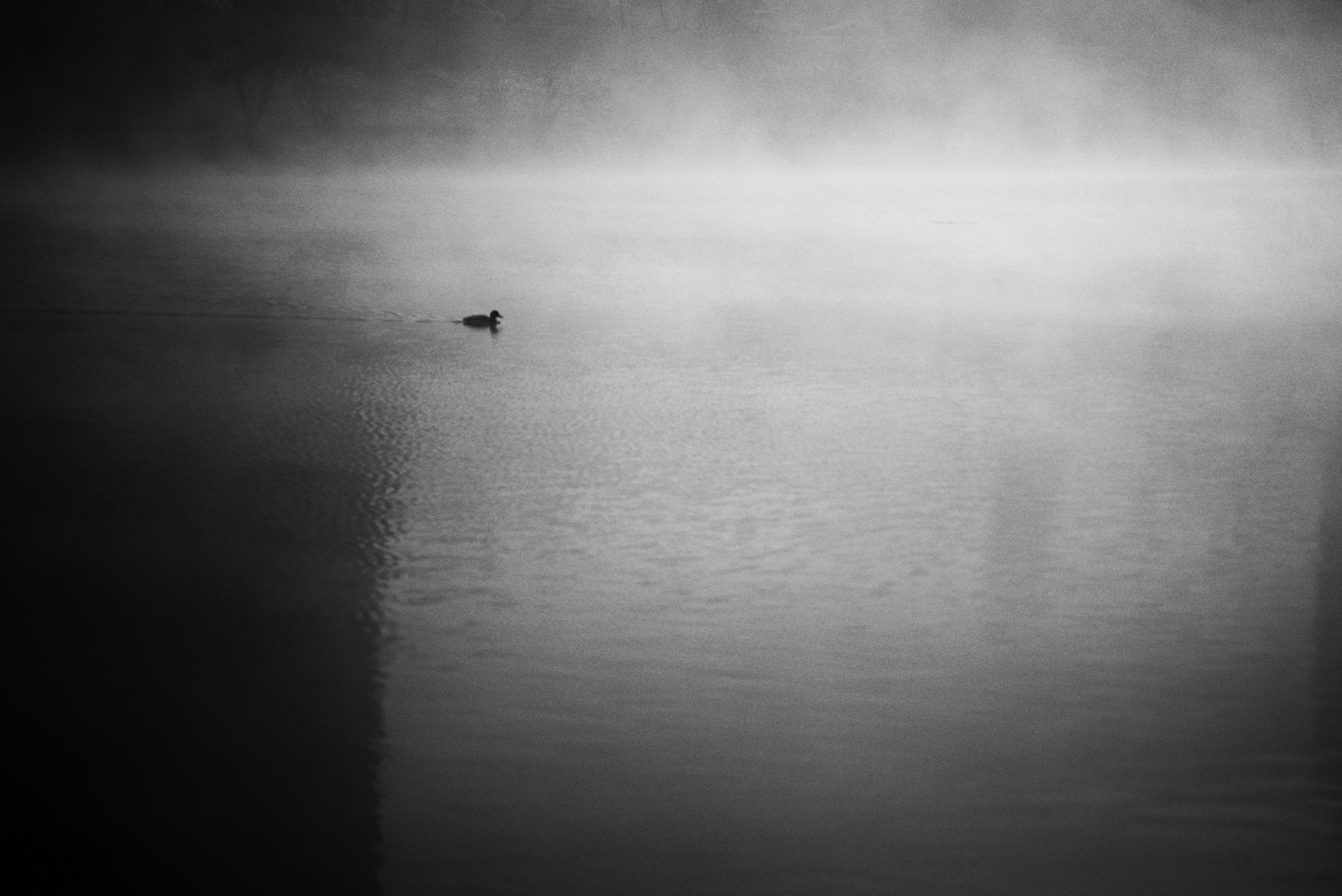 Photo by cherstve_pechivo