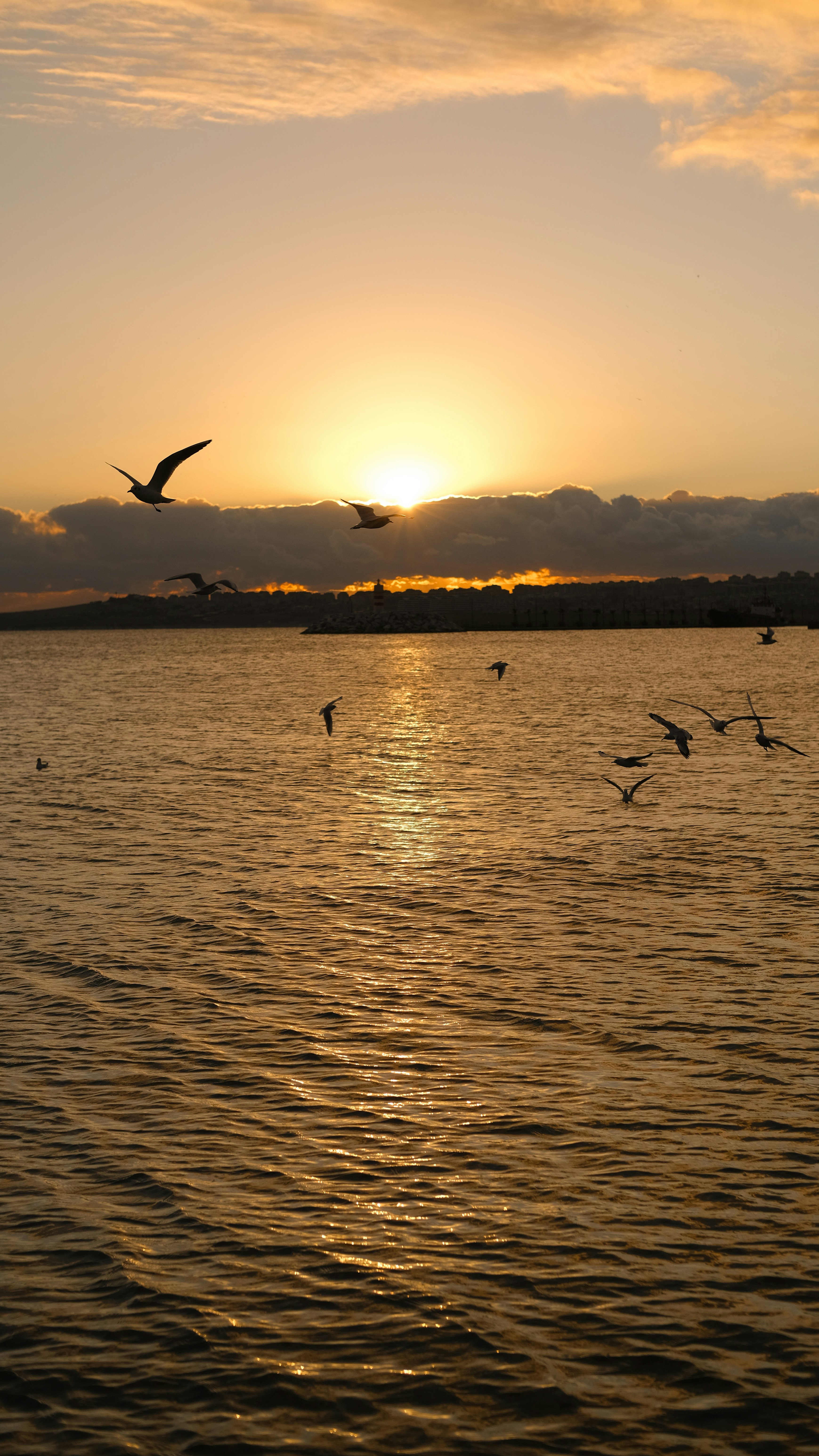 Photo by esraafsar