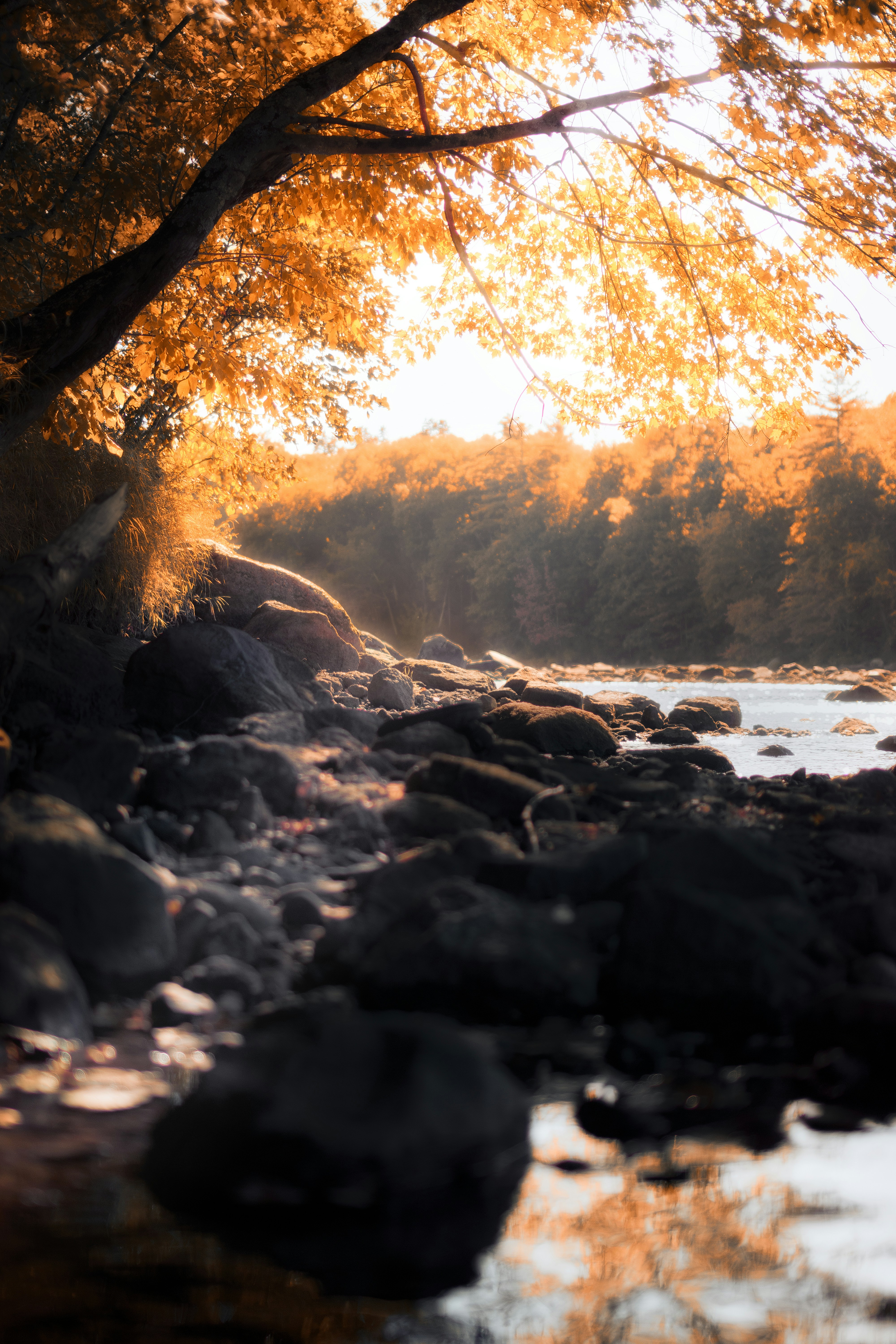 Photo by nh_landscapes