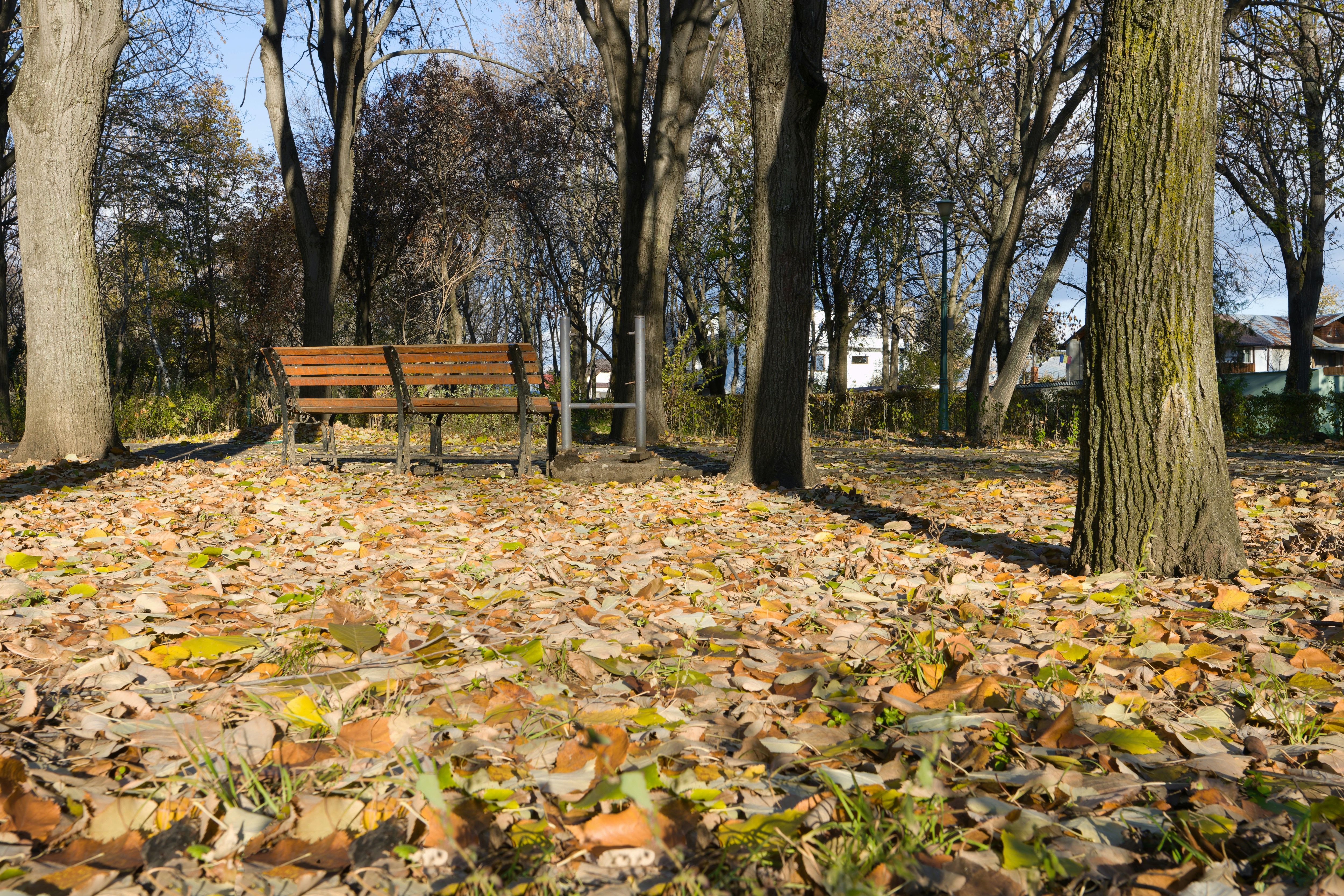 Olimpia Park in Ploiesti, Ploiesti City, Romania
