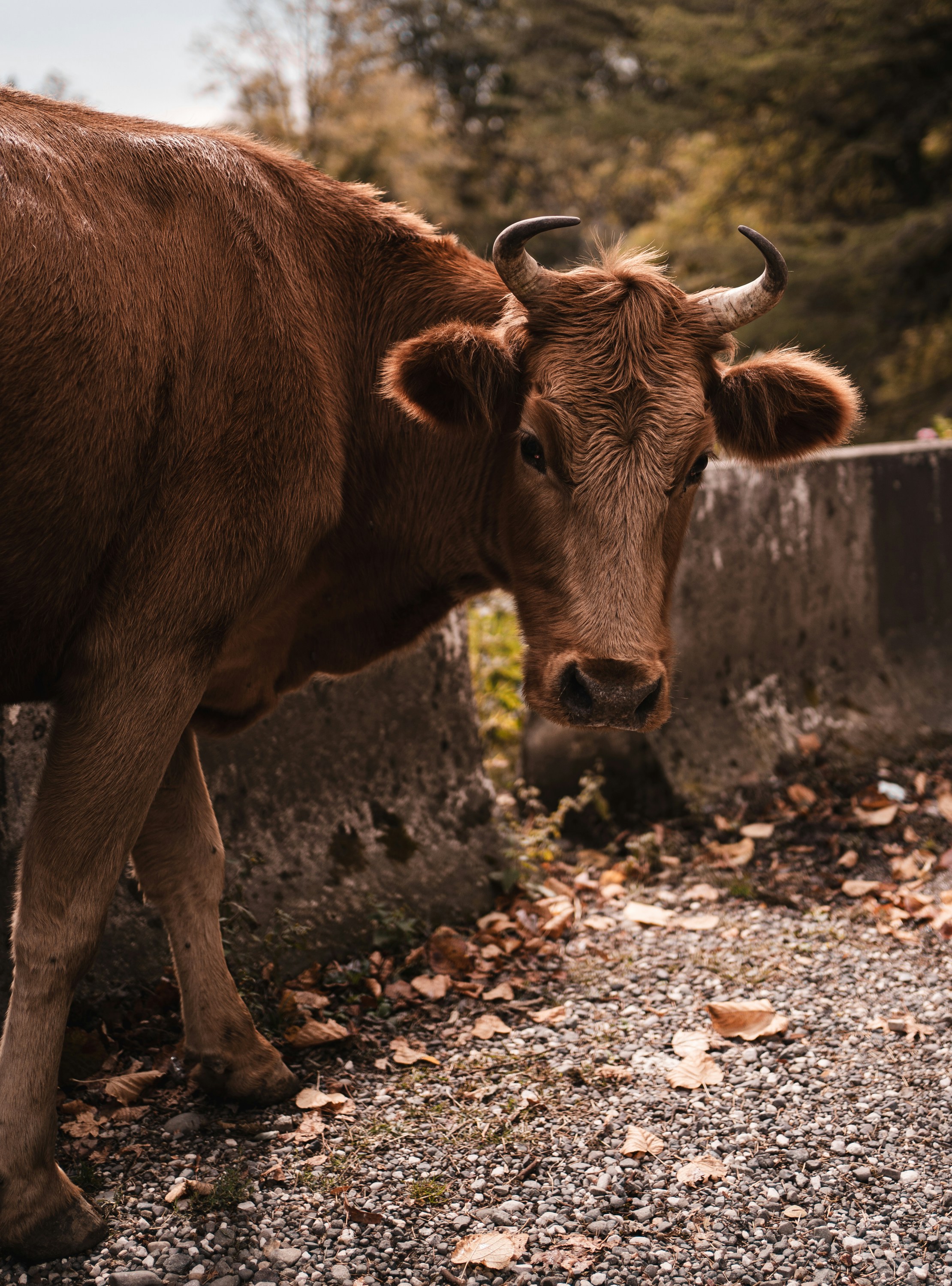 Photo by vadimsadovski