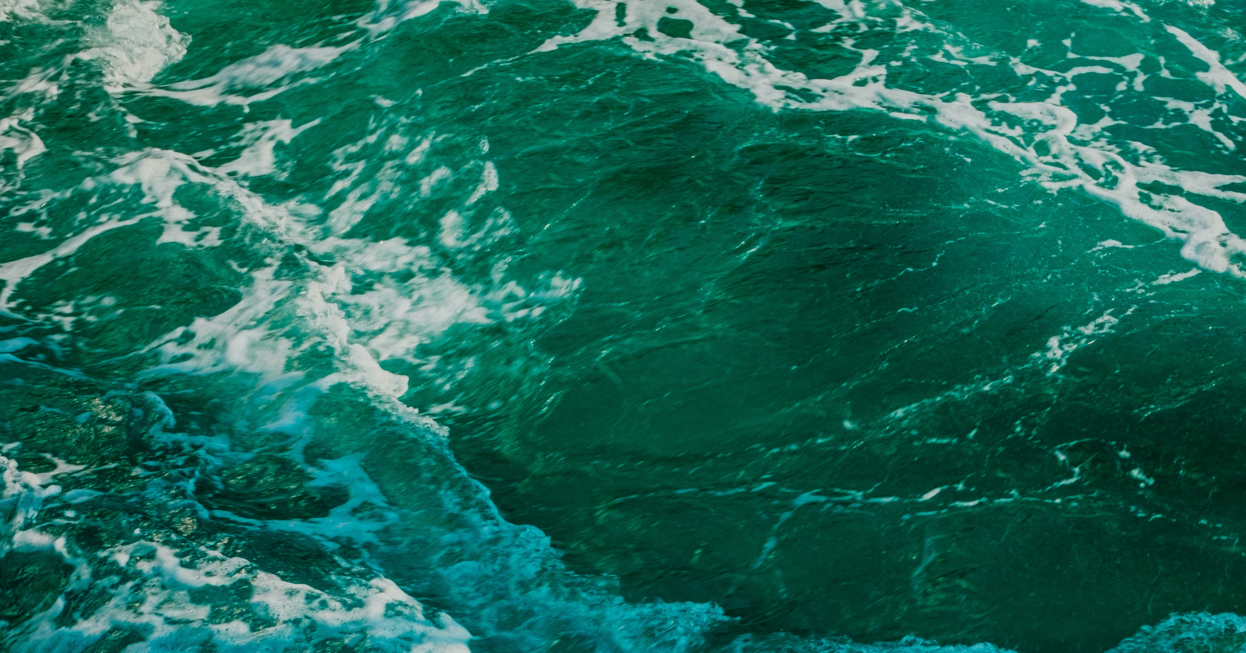 Photo by prince_corvo