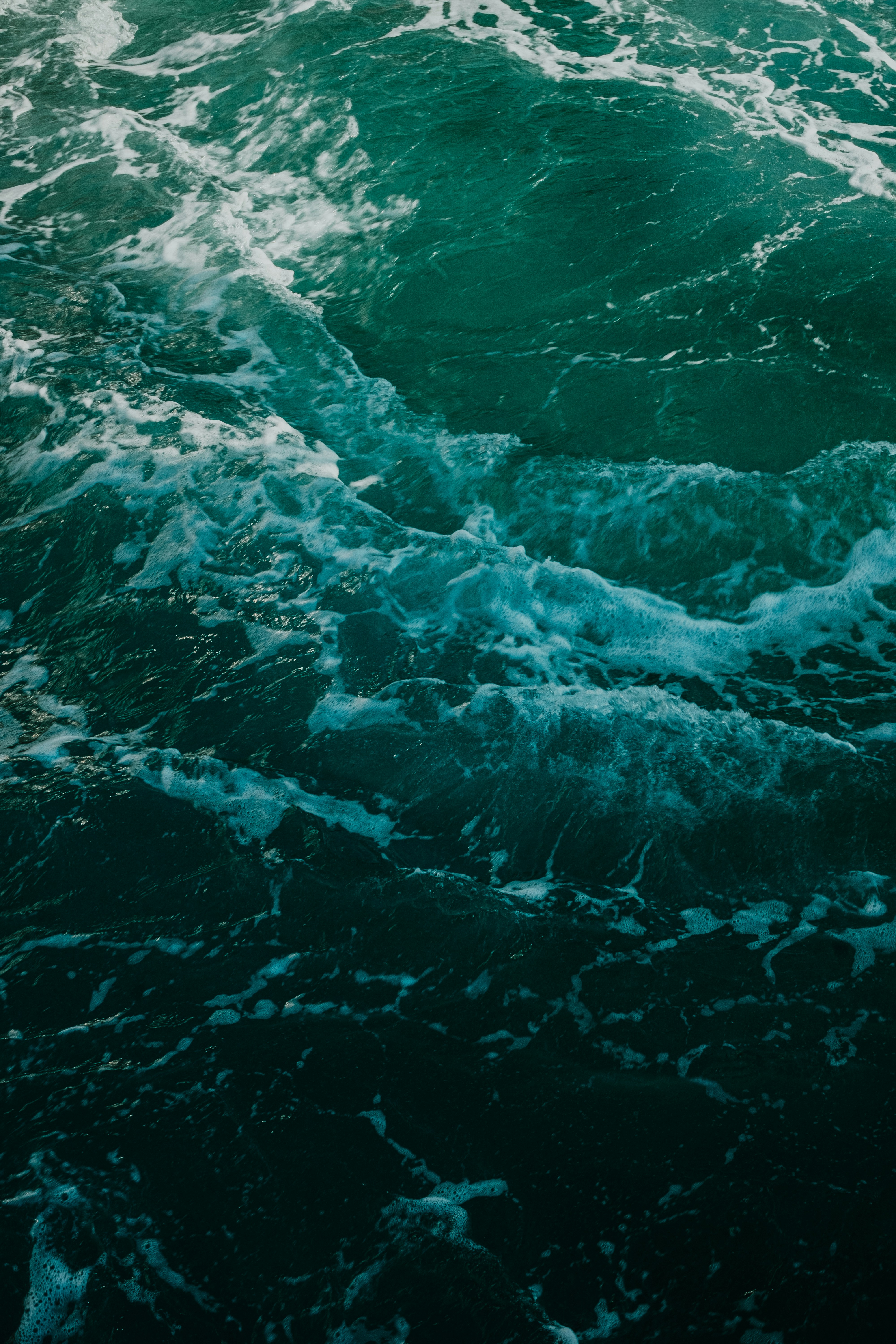 Photo by prince_corvo