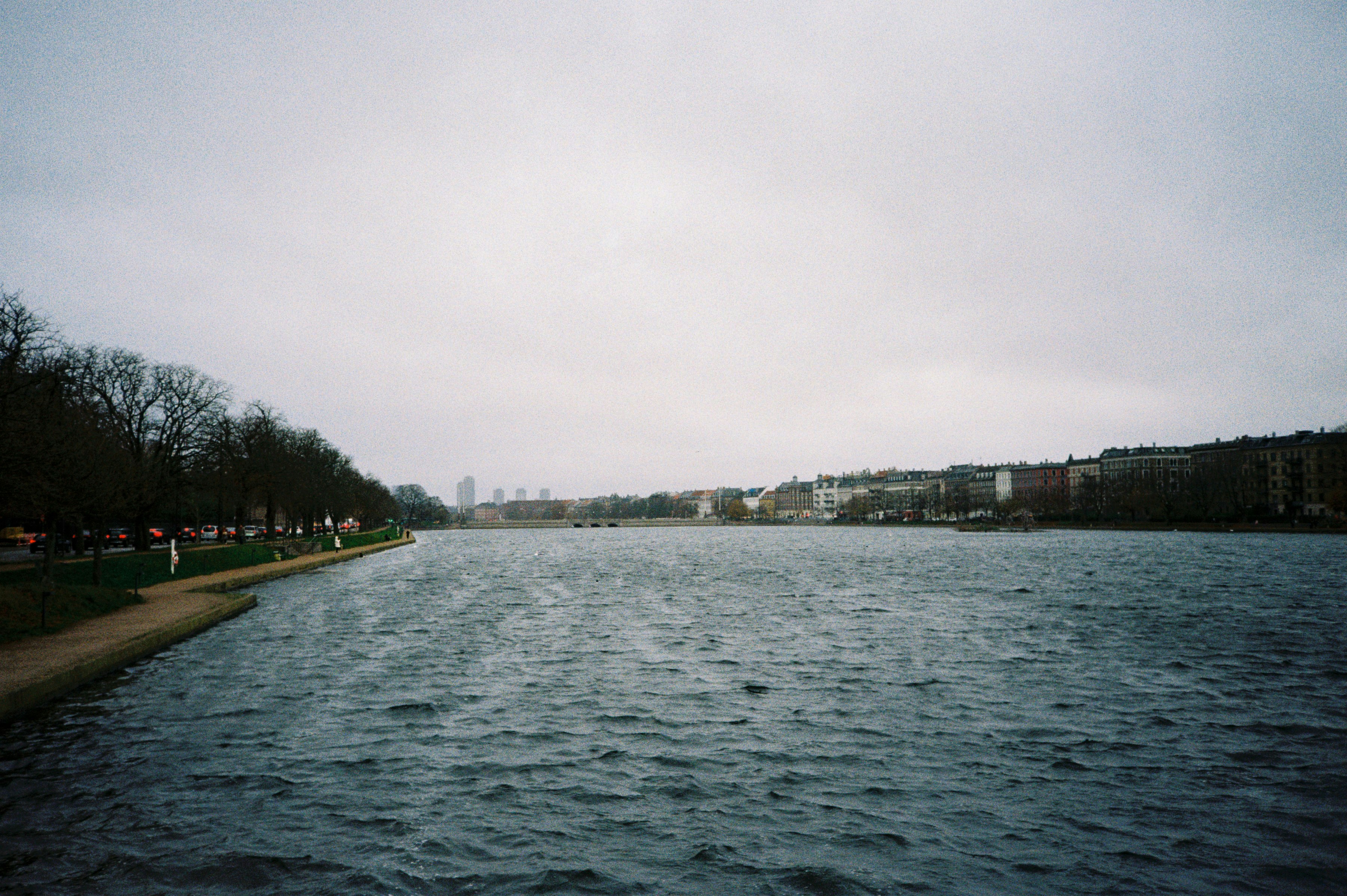 Photo by mirceadrian