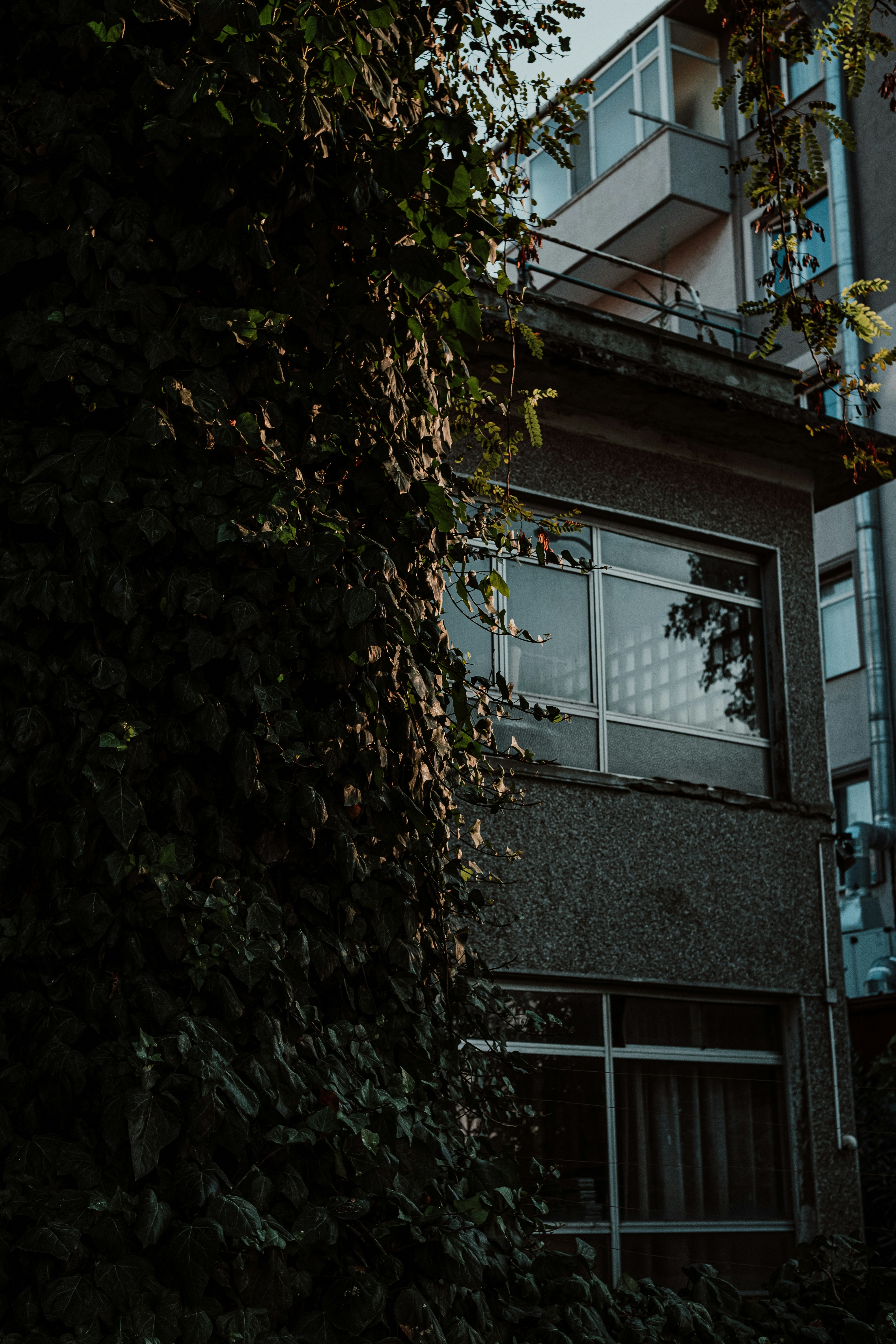 Photo by prince_corvo