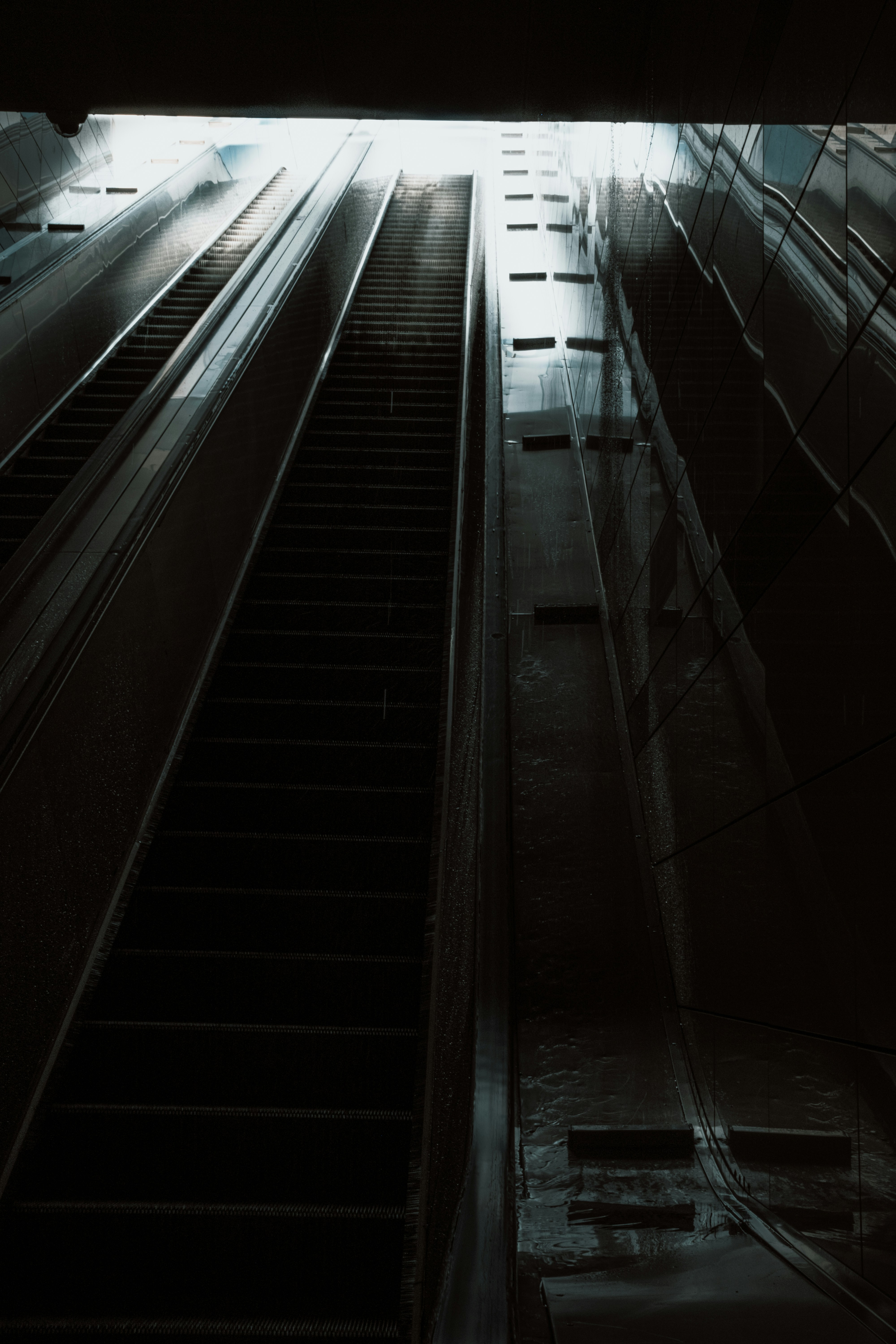 Photo by prince_corvo