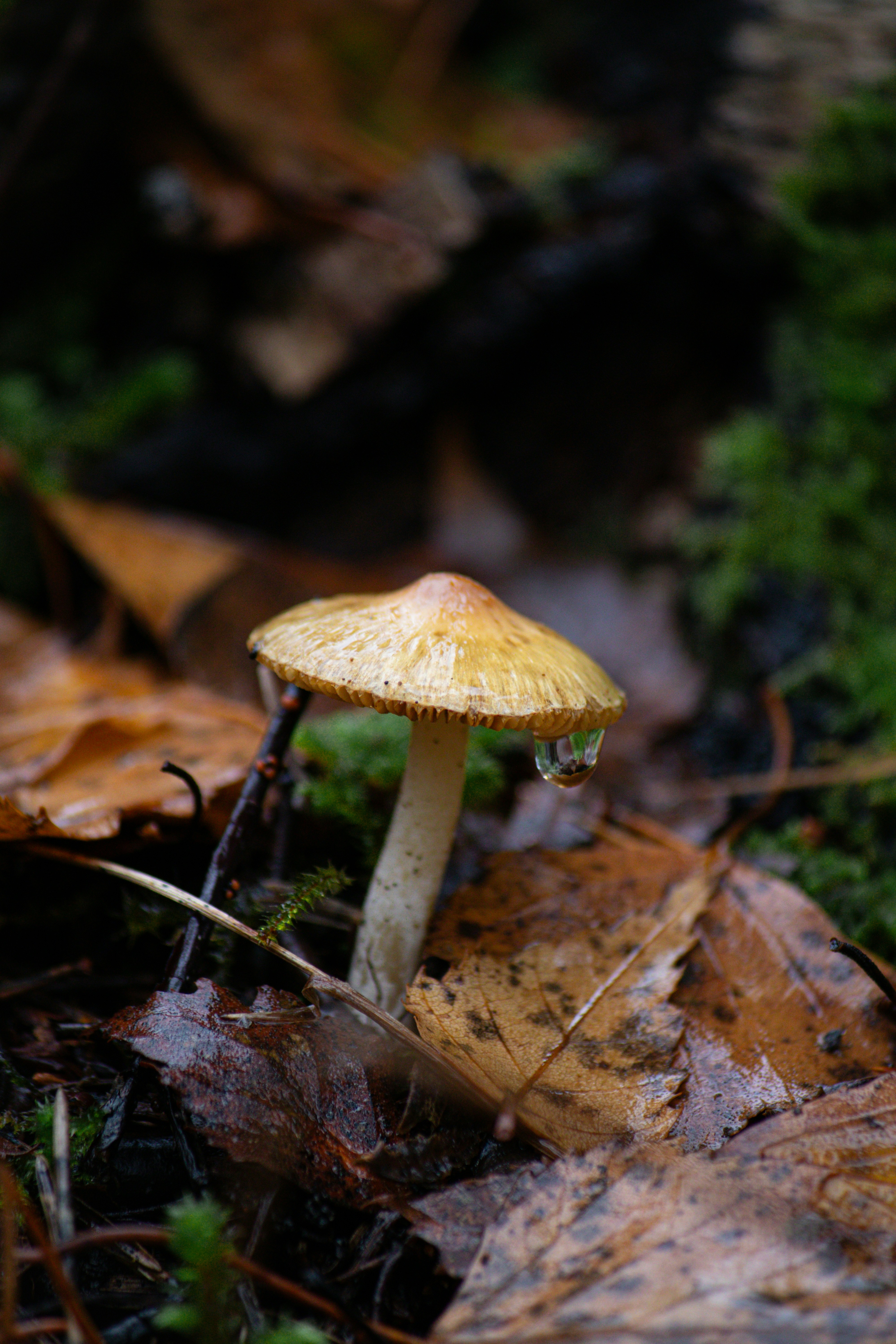 Photo by teraskarina