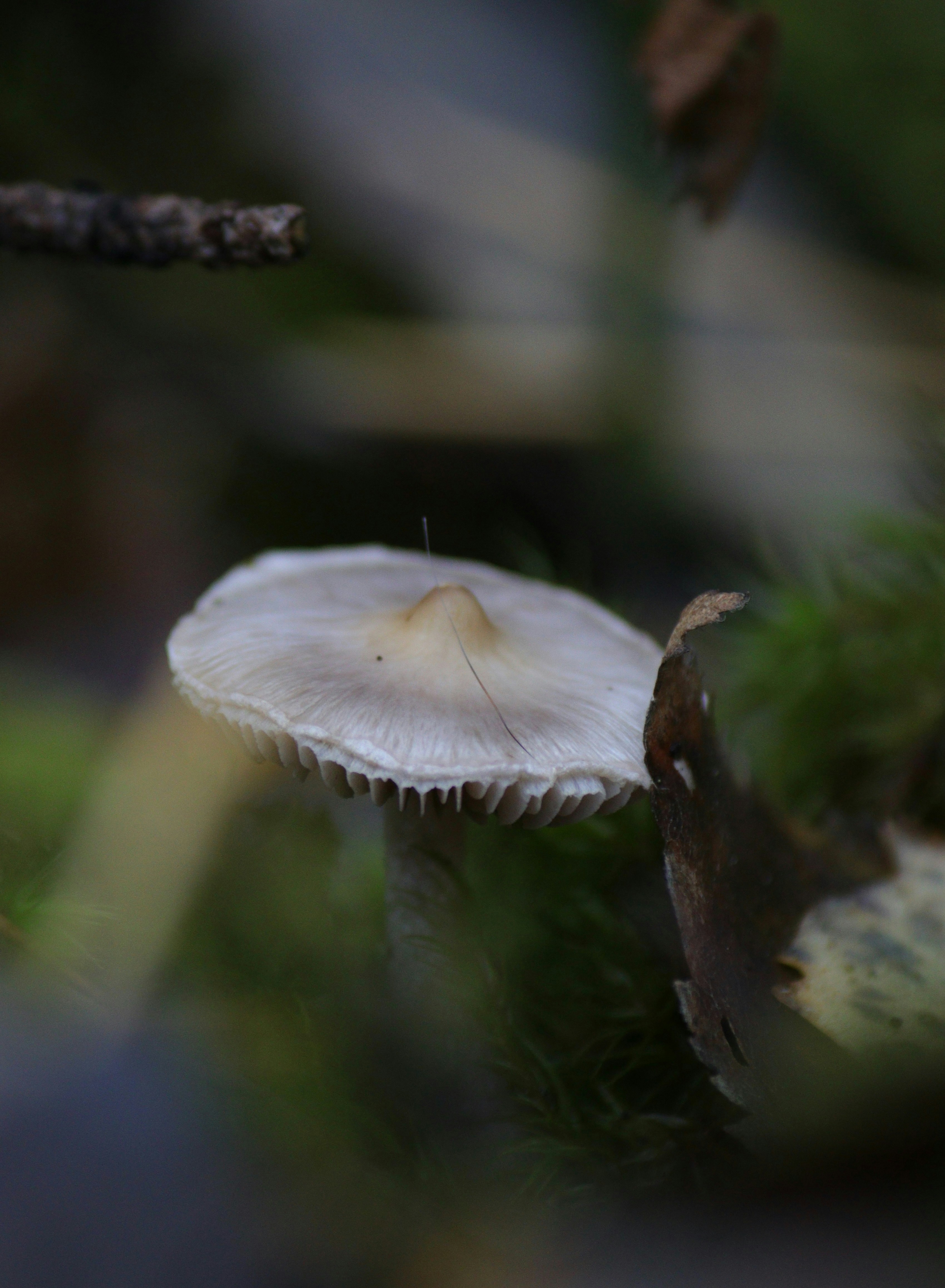 Photo by teraskarina