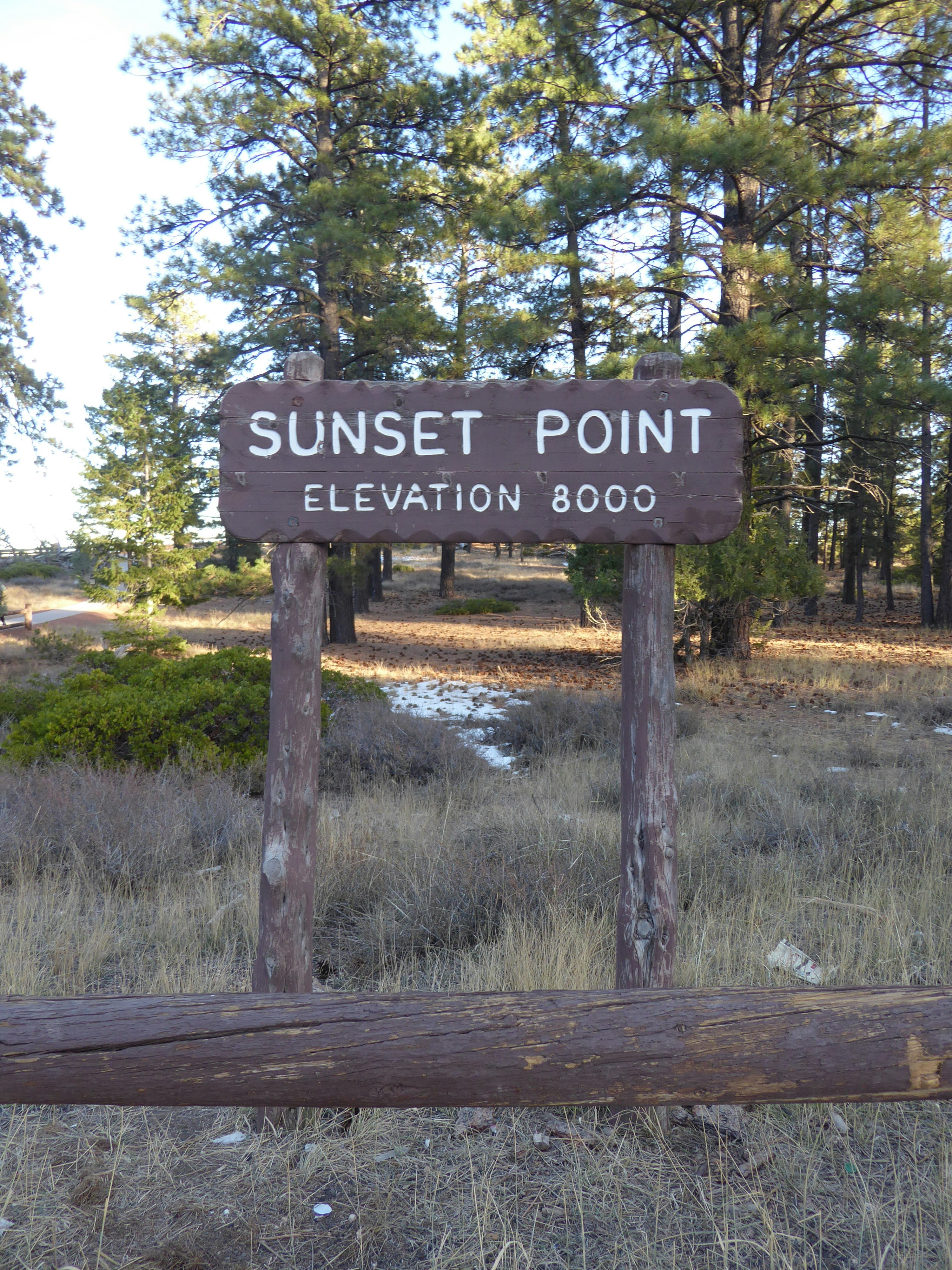 A sign for sunset point elevation 8000