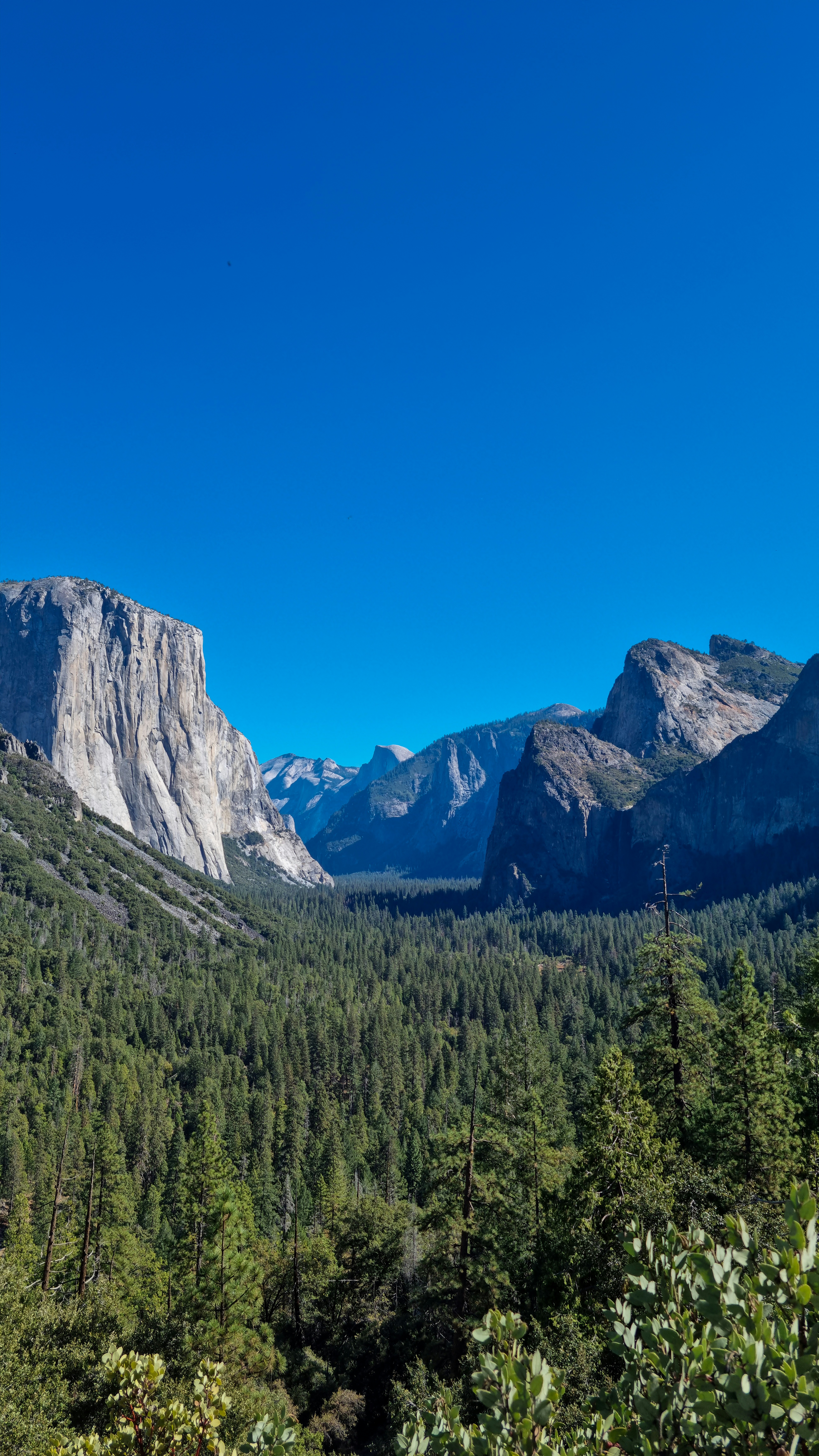 A view of a valley with mountains in the background