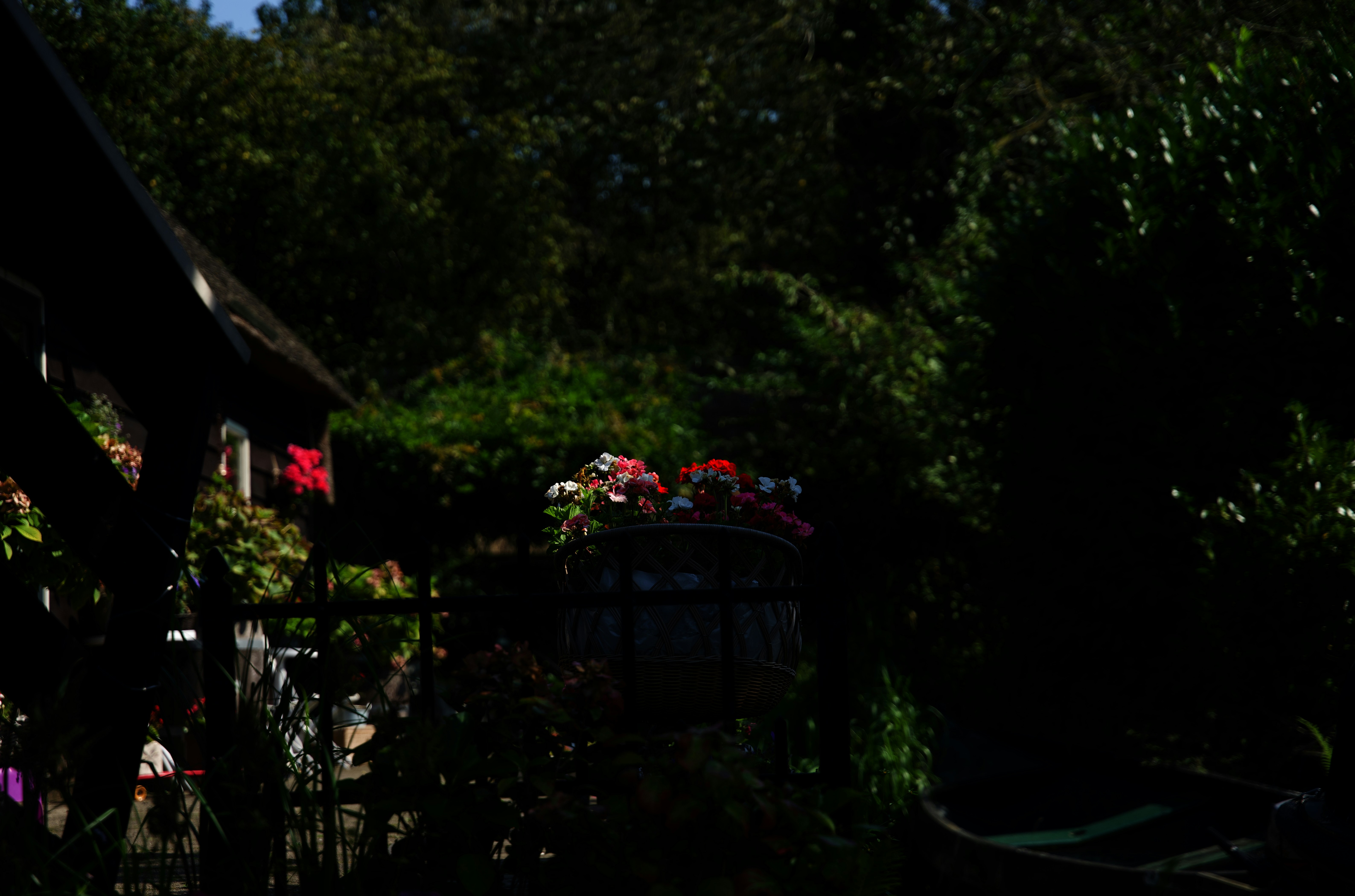 Photo by kingsukpasari