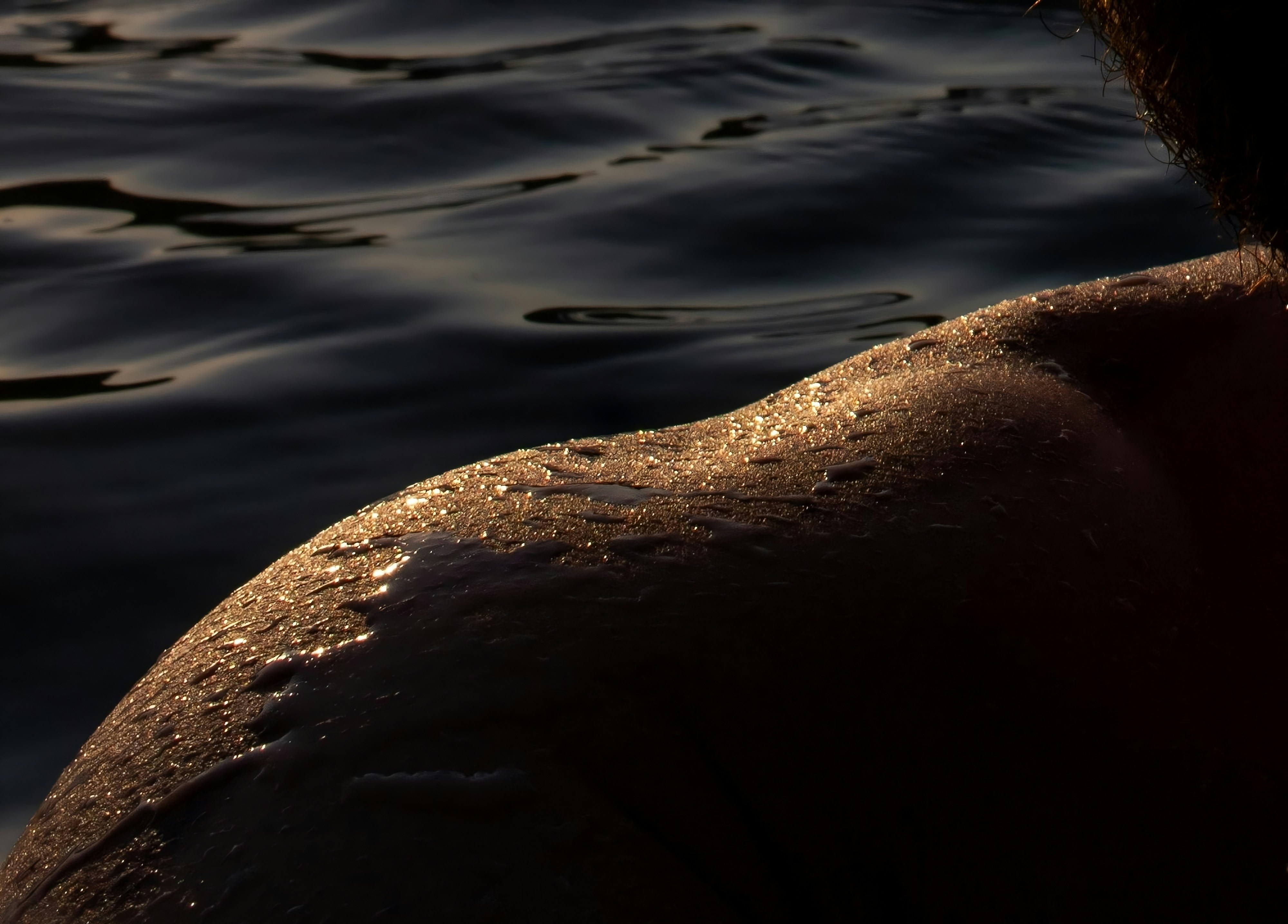 calming skin texture, wallpaper, Gatal-Gatal Semakin Digaruk Semakin Banyak: Bahaya? 2