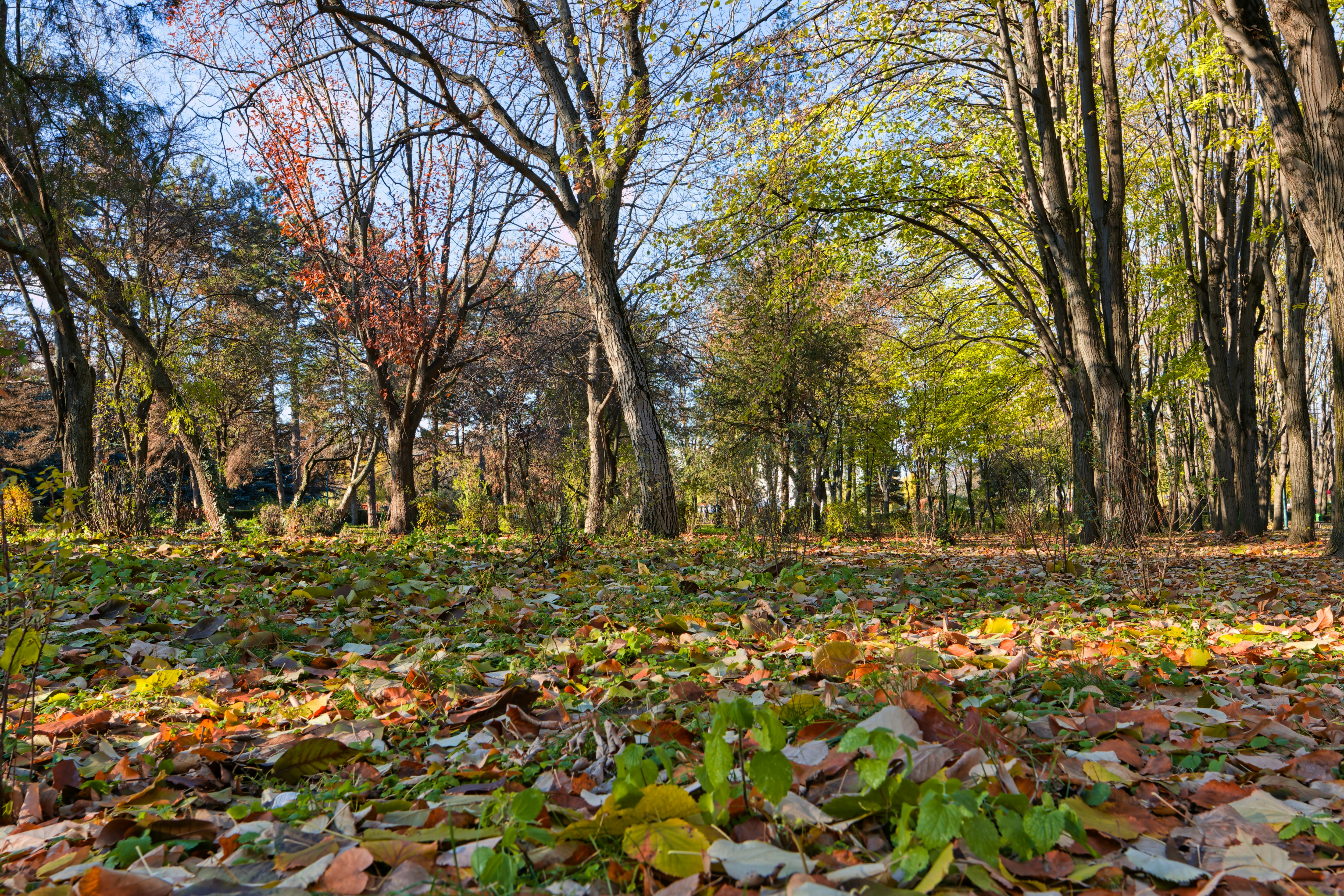 Olimpia Park in Ploiesti, Ploiesti City, Romania